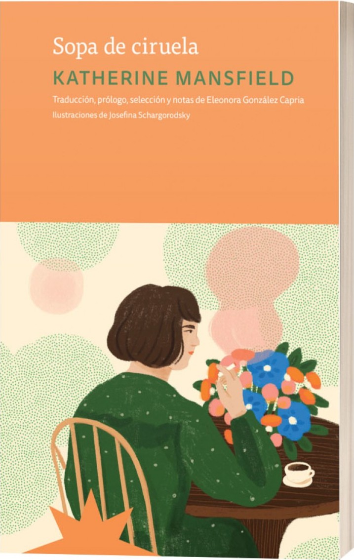 Sopa de ciruela book cover