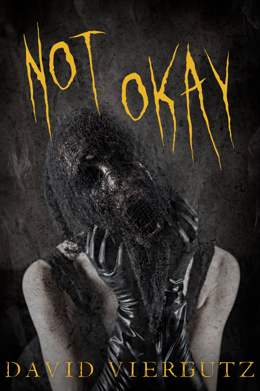Not Okay book cover