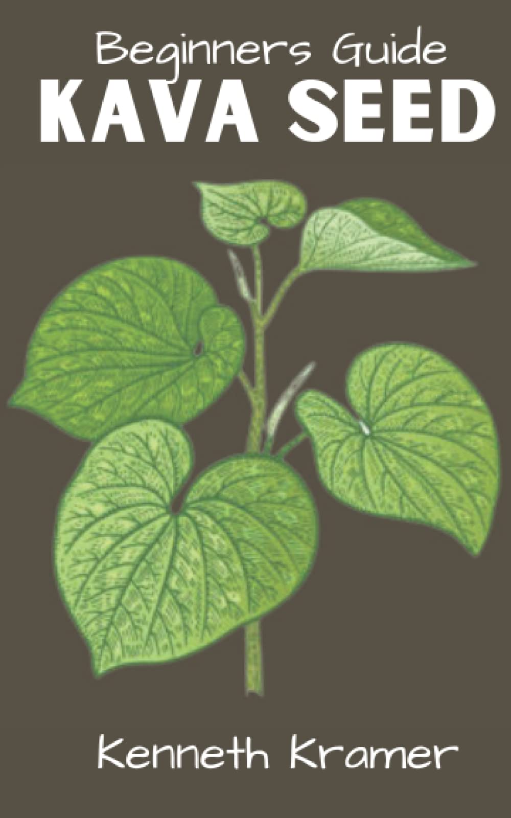 Beginners Guide KAVA SEED Beginners Guide And Health Benefit Of The 