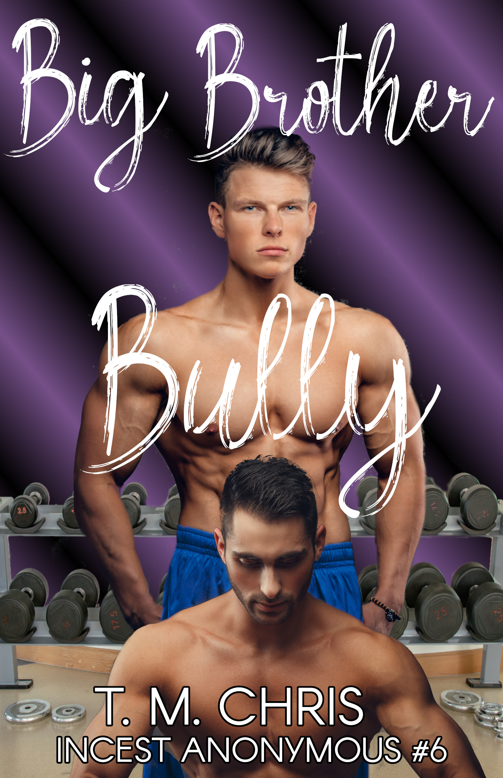 Big Brother Bully book cover