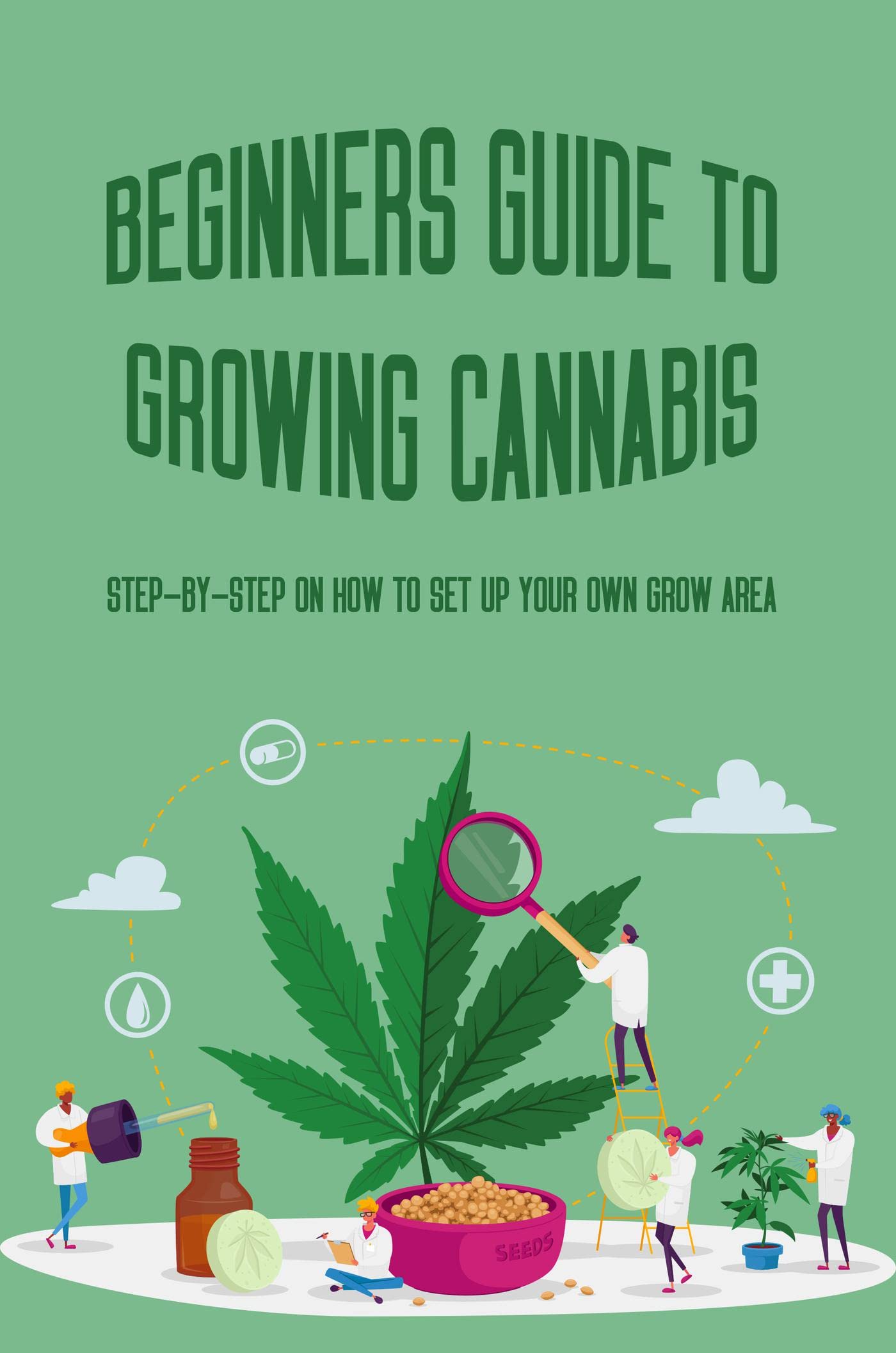 Beginners Guide To Growing Cannabis: Step-By-Step On How To Set Up Your ...