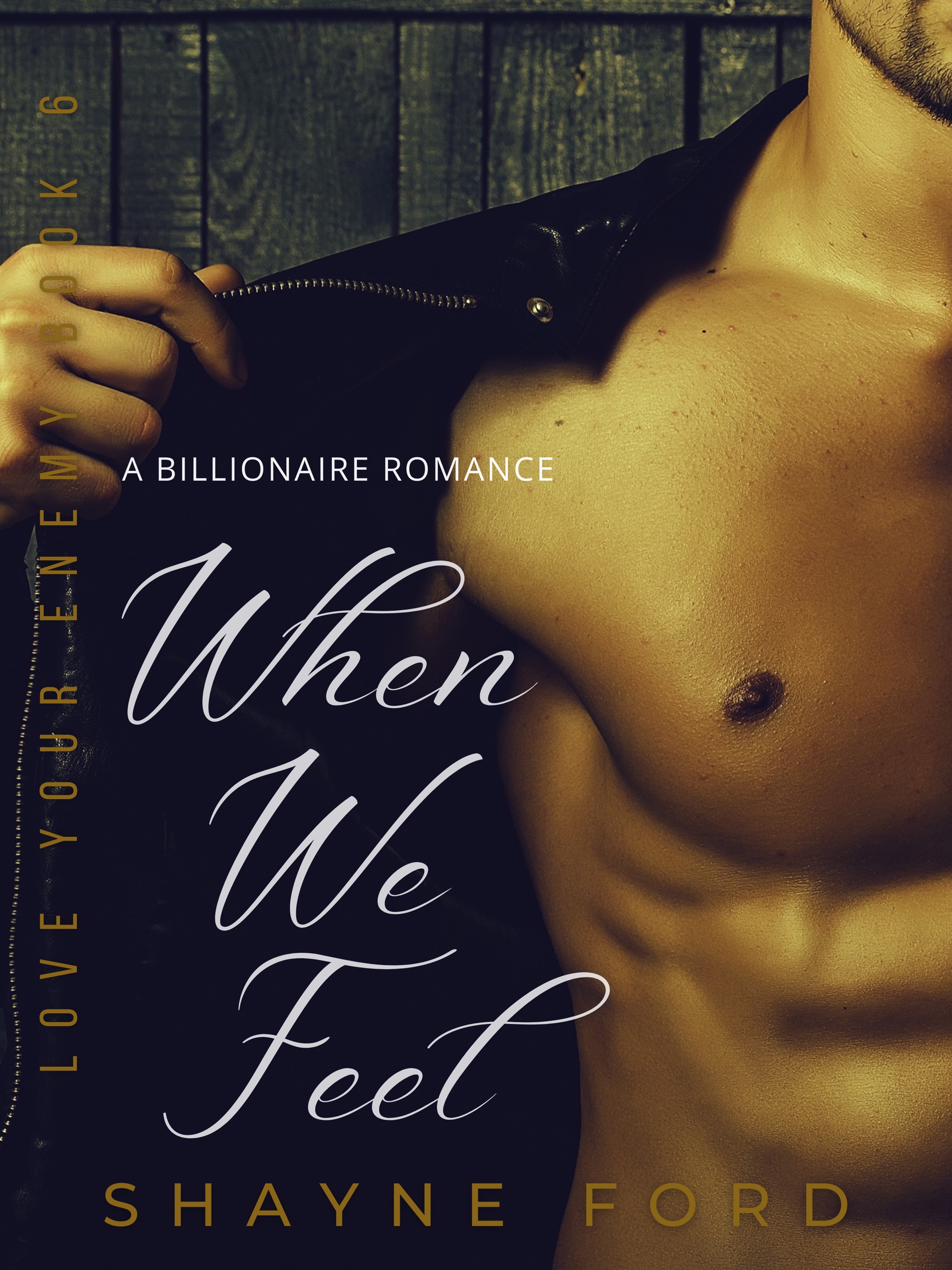 When We Feel book cover