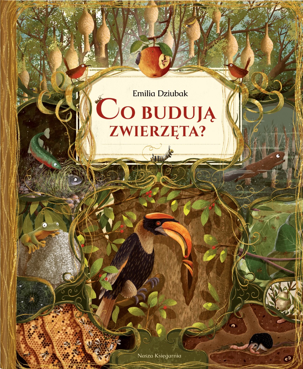 Co budują zwierzęta?