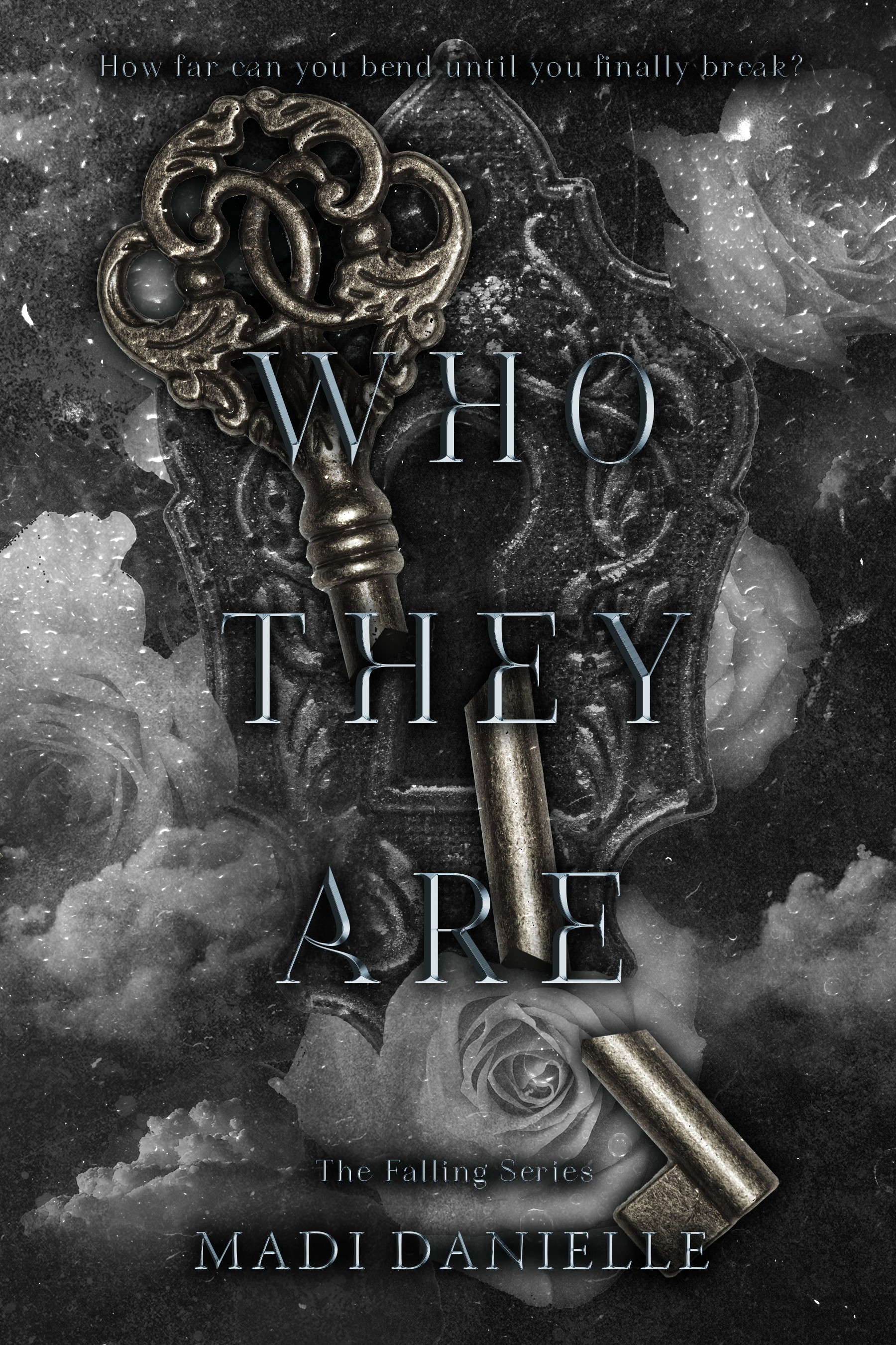 Falling book cover 2