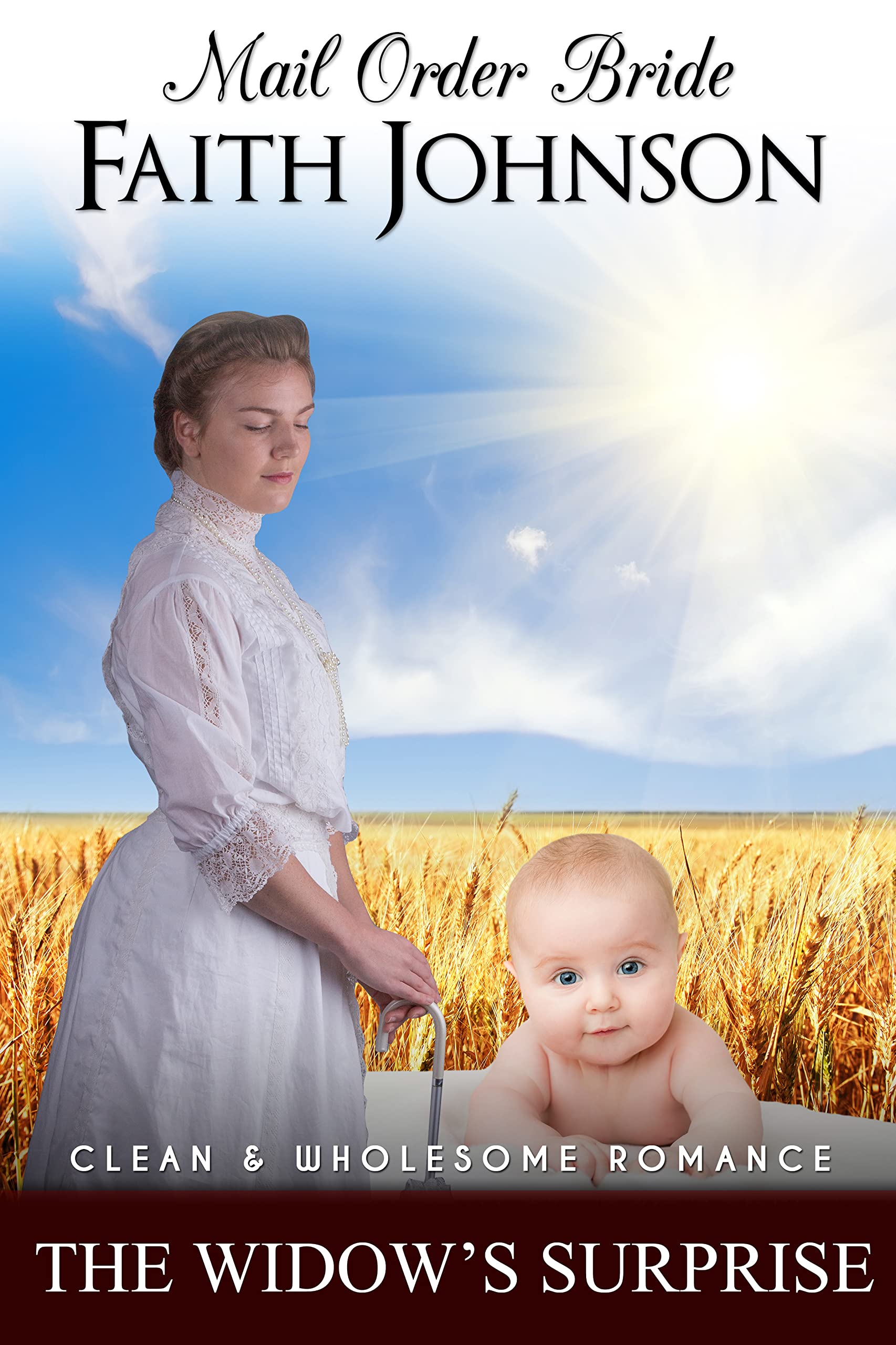 The Widow's Surprise book cover