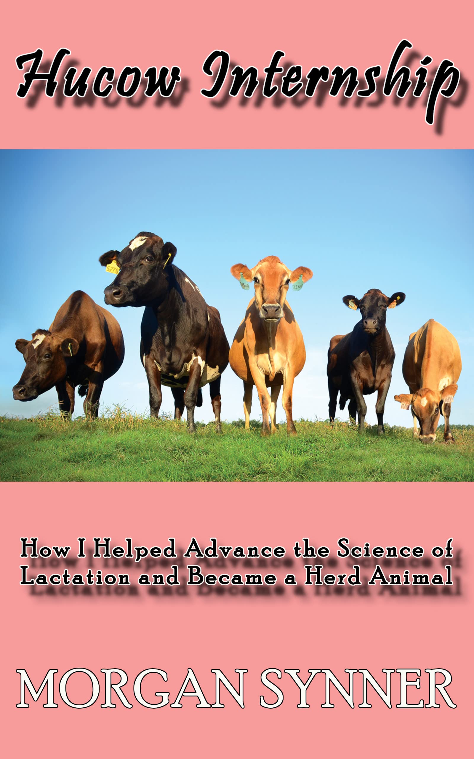 Hucow Internship: How I Helped Advance the Science of Lactation and Became a Herd Animal