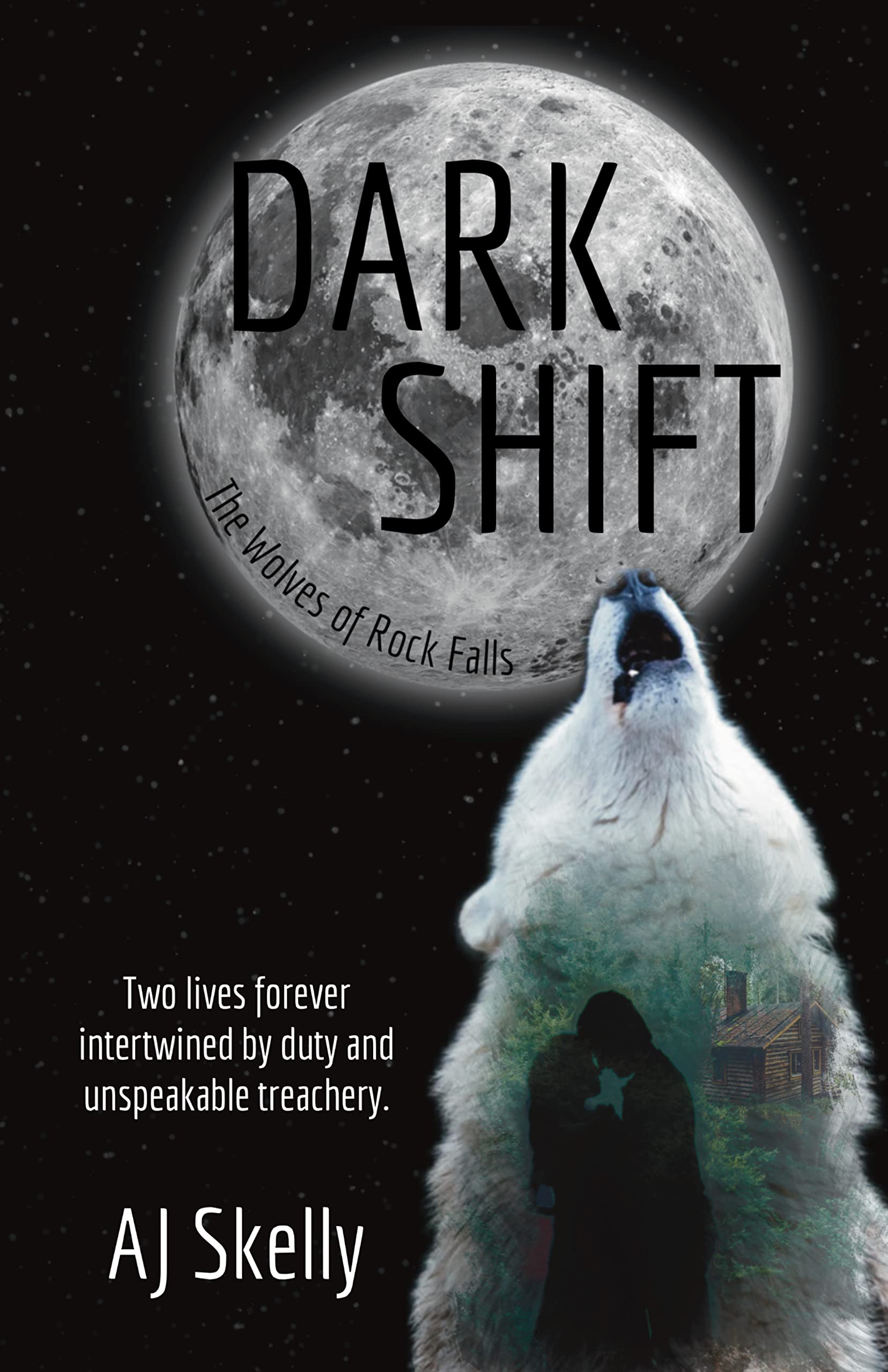 Dark Shift book cover