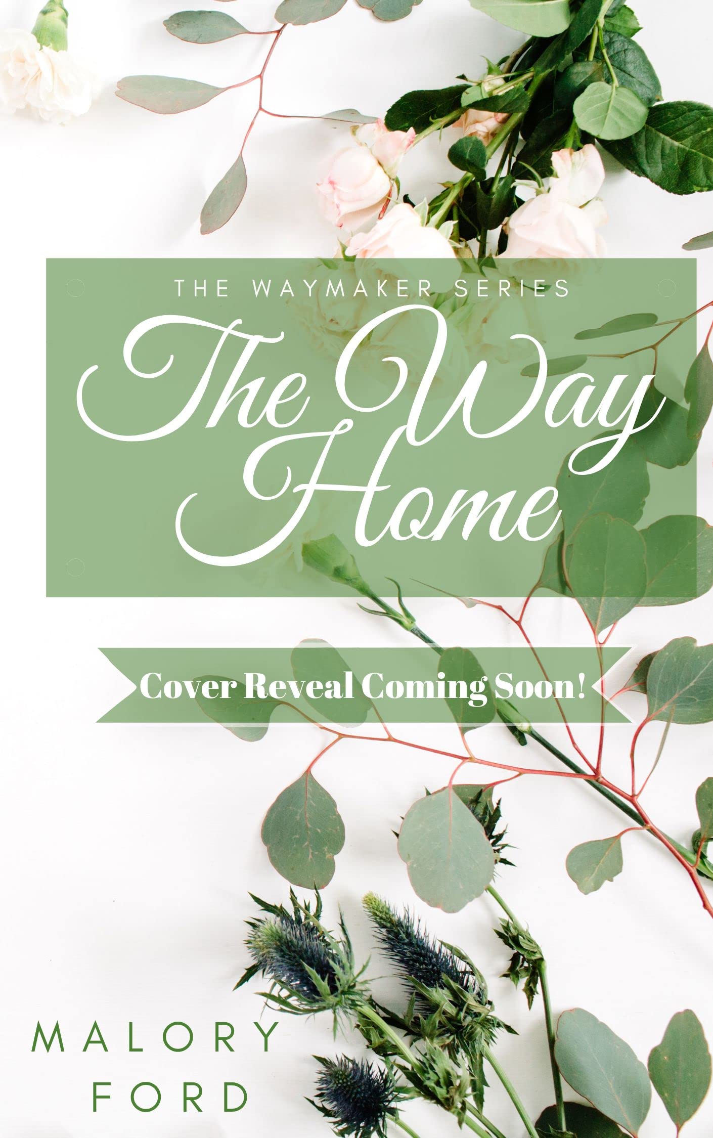 The Way Home book cover