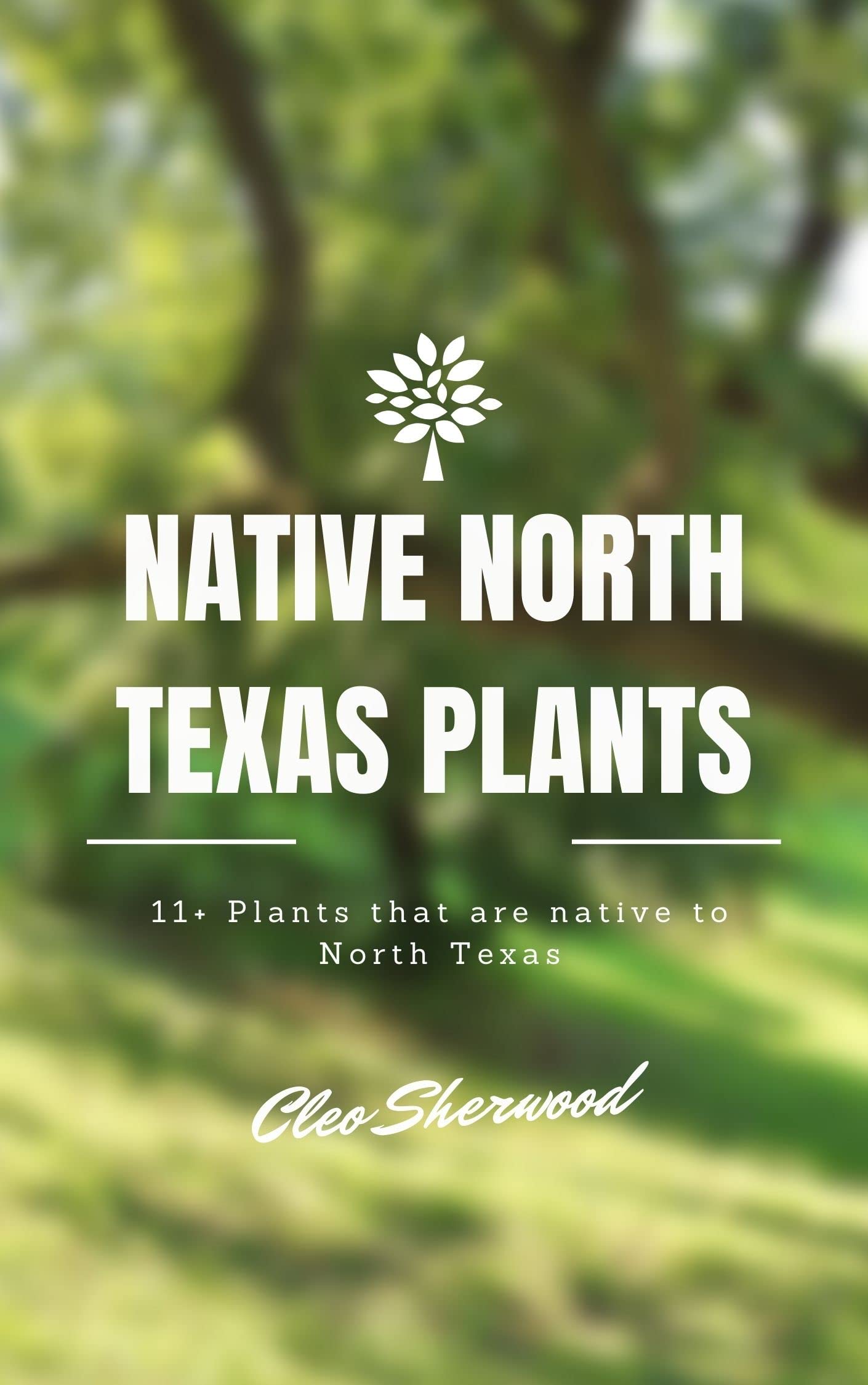 native-north-texas-plants-11-plants-that-are-native-to-north-texas-by