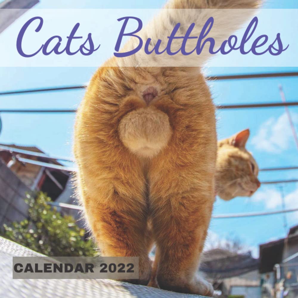 GAG GIFT Cats Buttholes Funny Calendar 20222023 Hilarious Gag Present