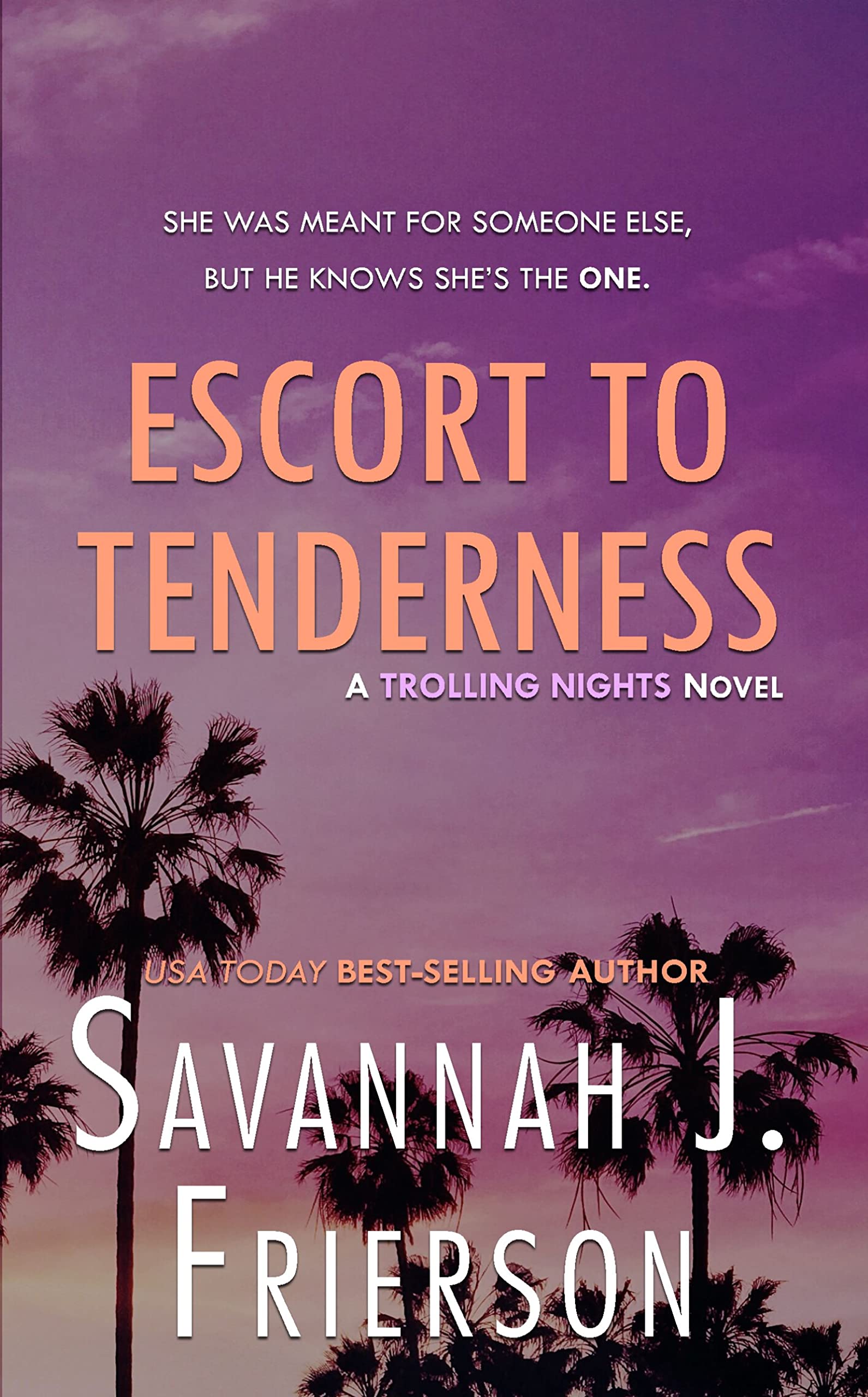 Escort to Tenderness book cover
