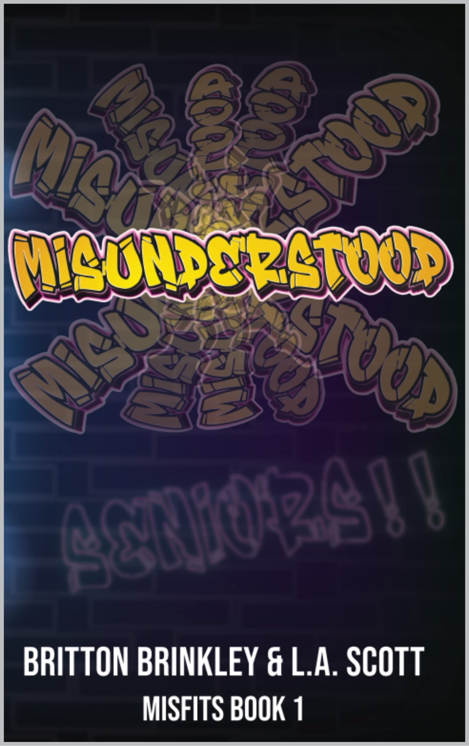 Misunderstood book cover