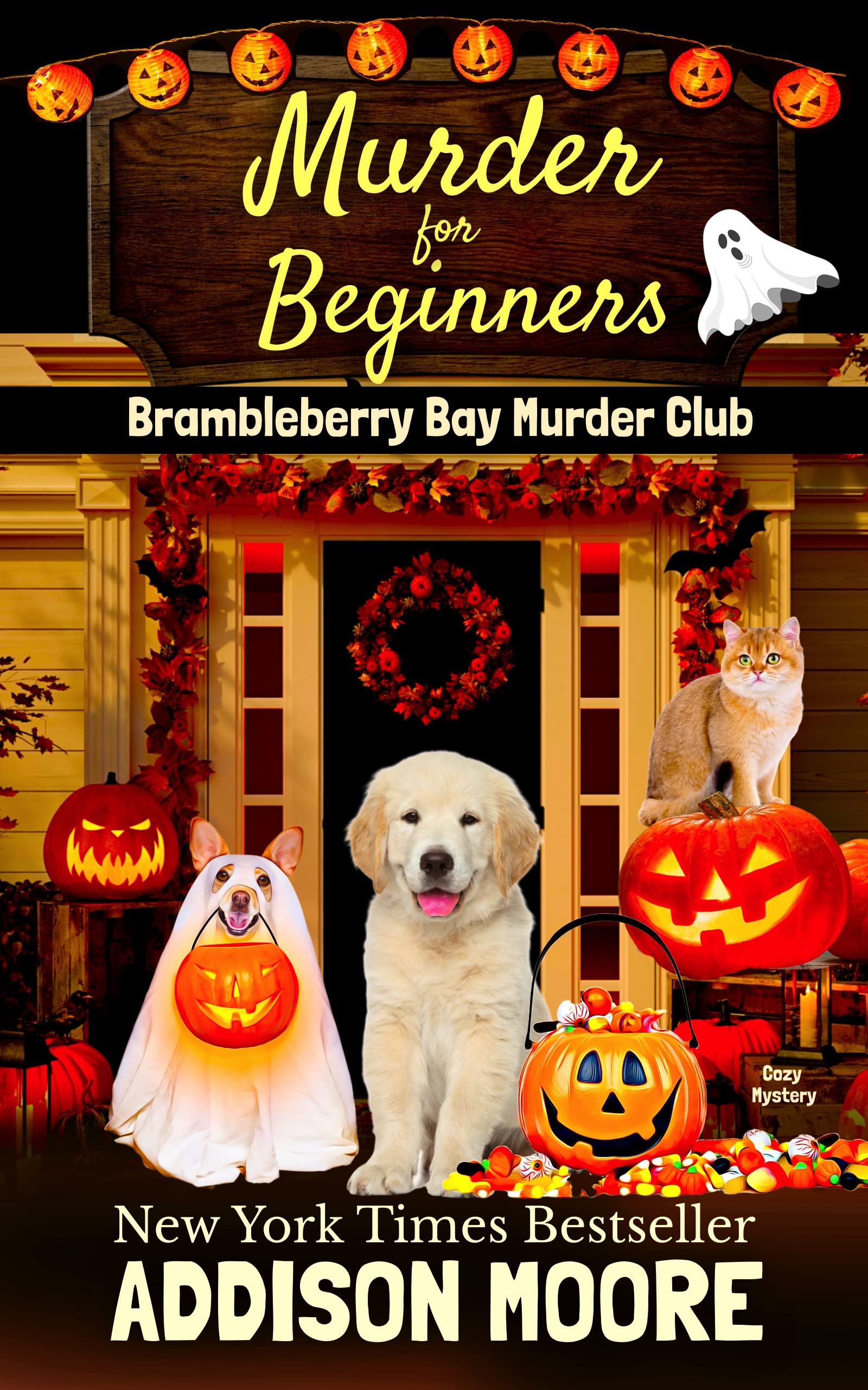 Murder for Beginners book cover