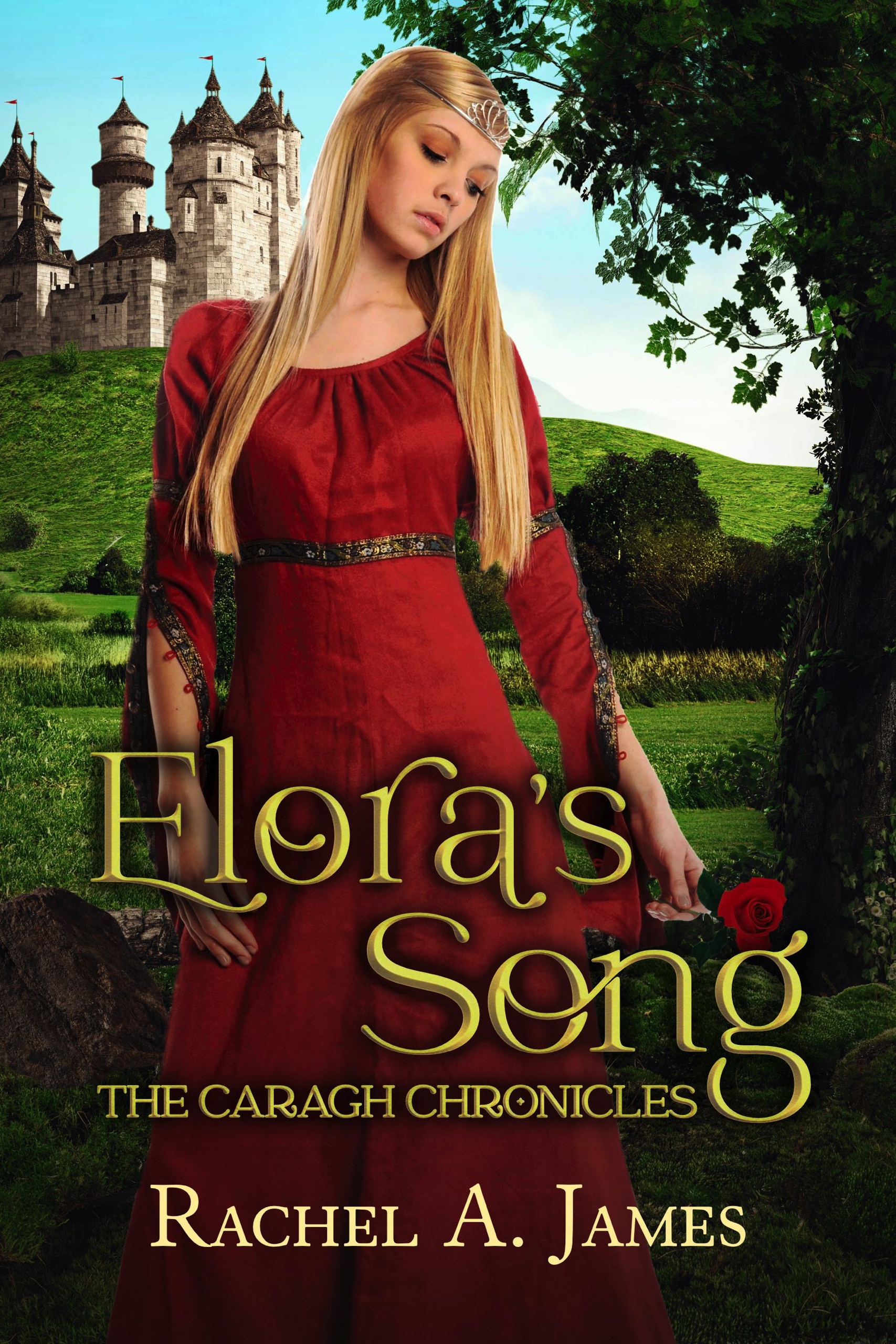 The Caragh Chronicles book cover 2