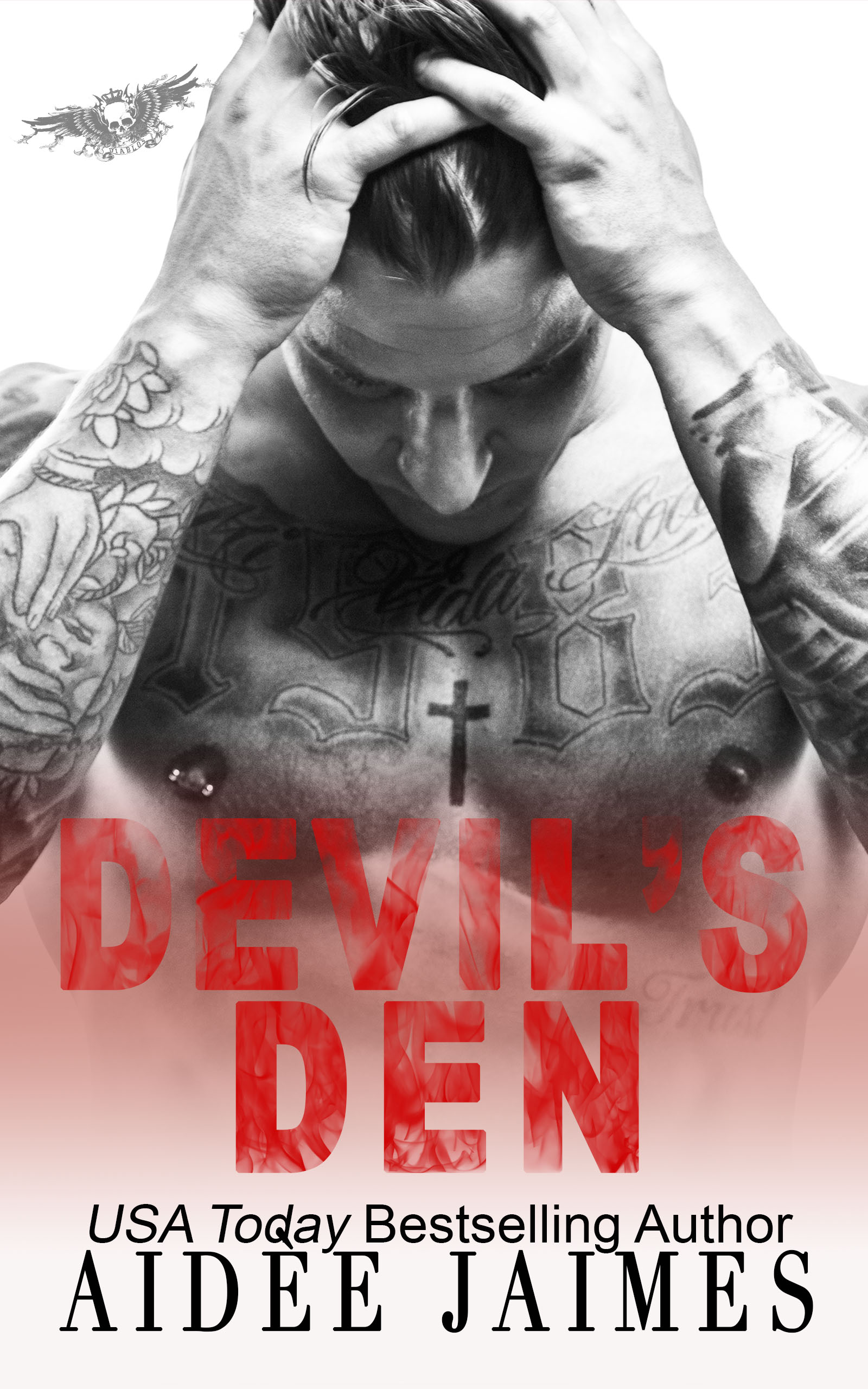 Diablos Cartel book cover 1