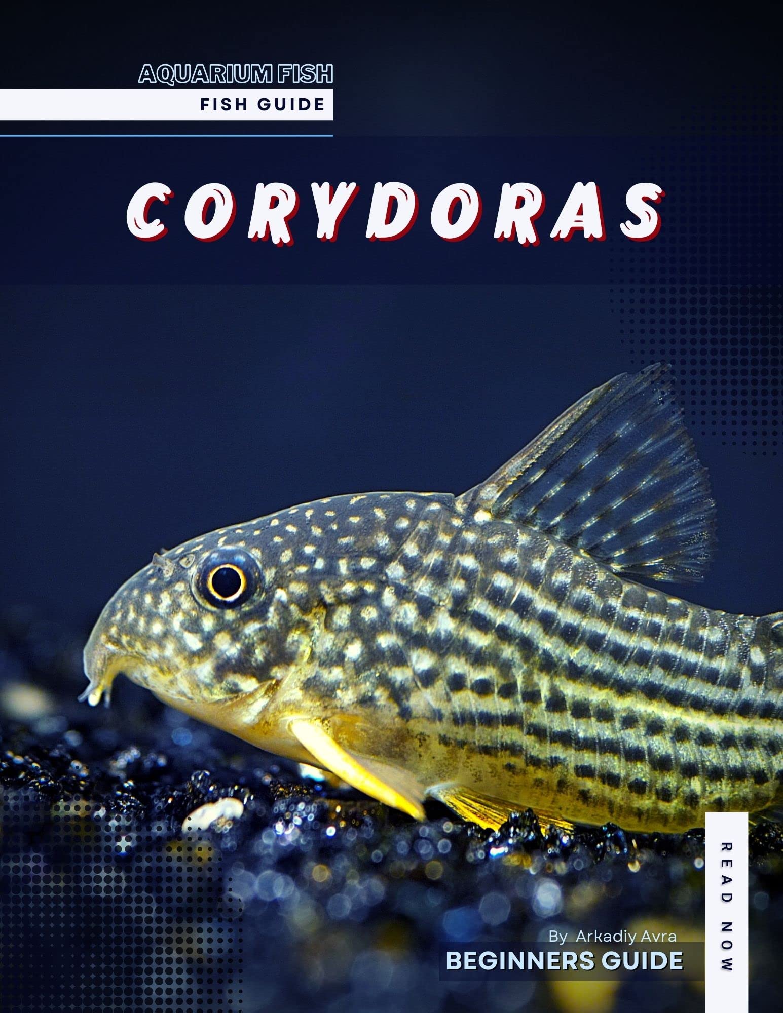 CORYDORAS Aquarium fish guide by Arkadiy Avra Goodreads
