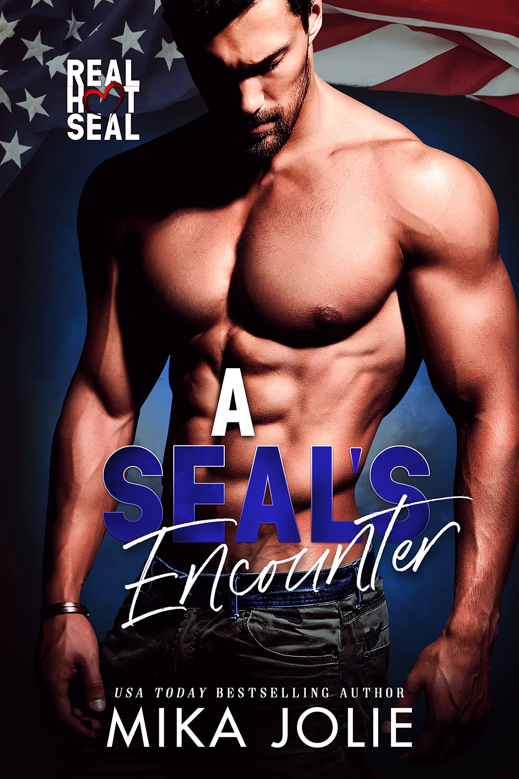 A SEAL's Encounter book cover