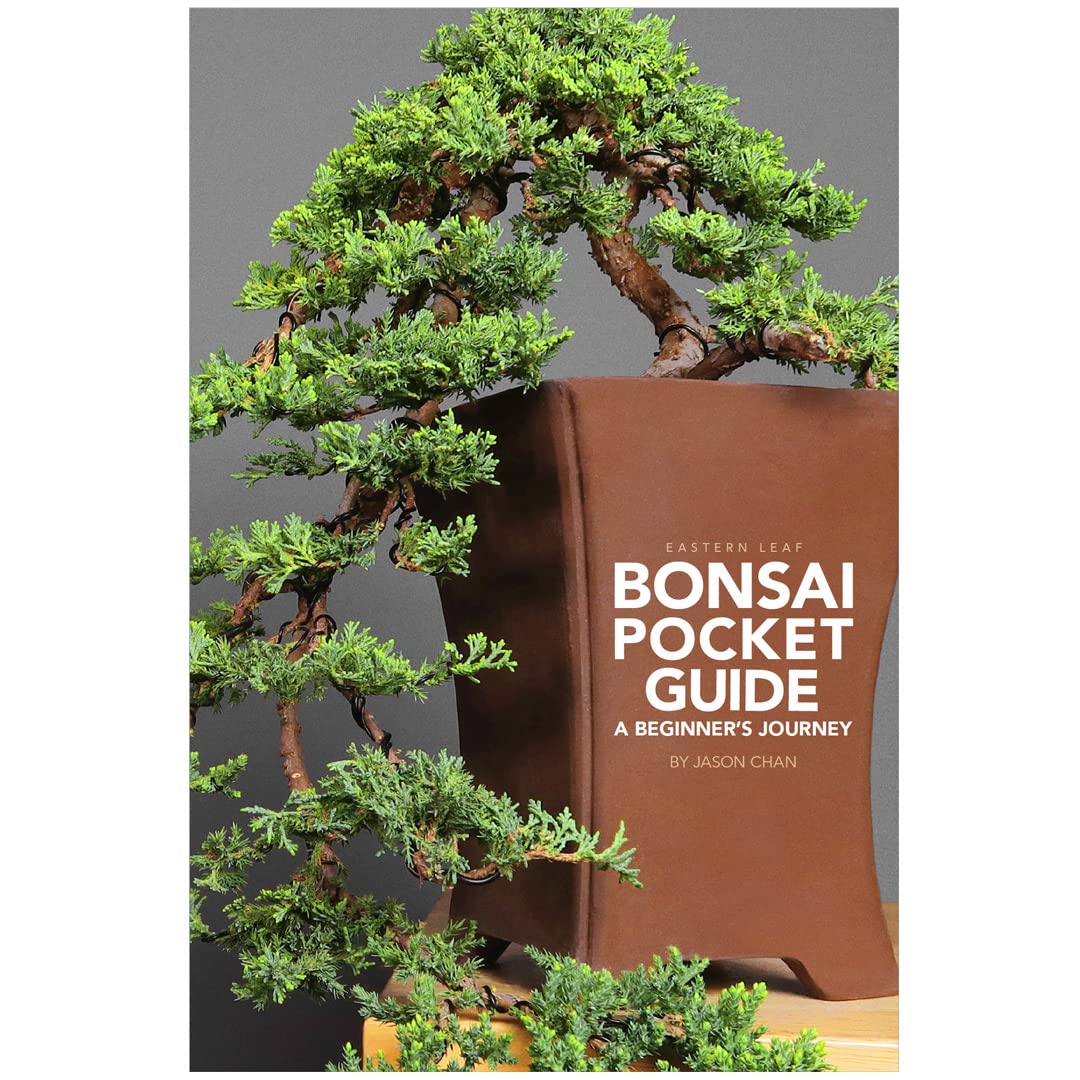 Bonsai Pocket Guide A Beginner's Journey by Jason Chan Goodreads