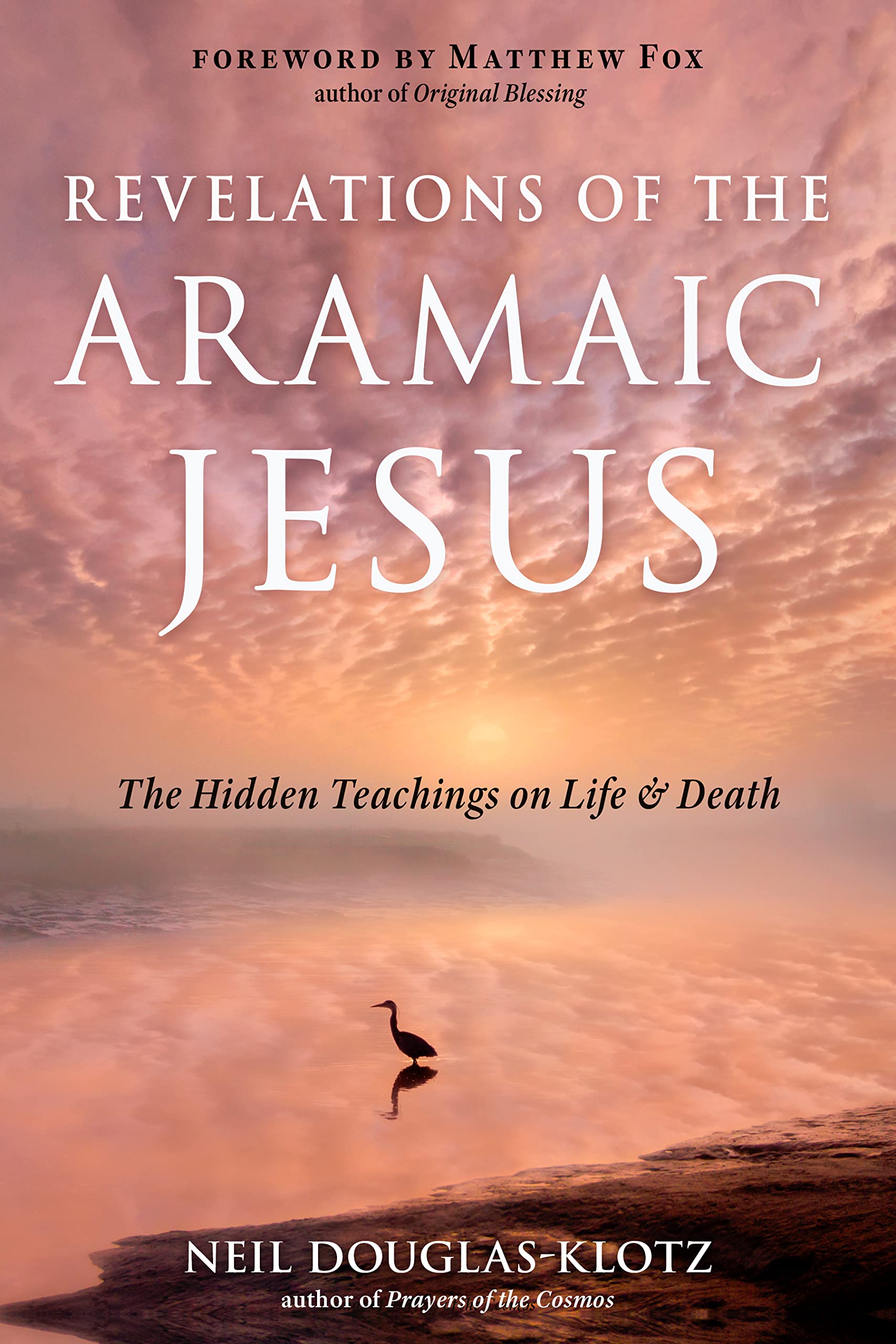 その他 The Hidden Gospel: Decoding the Spiritual Message of the Aramaic Jesus Amazon.com: The Hidden Gospel: Decoding the Spiritual