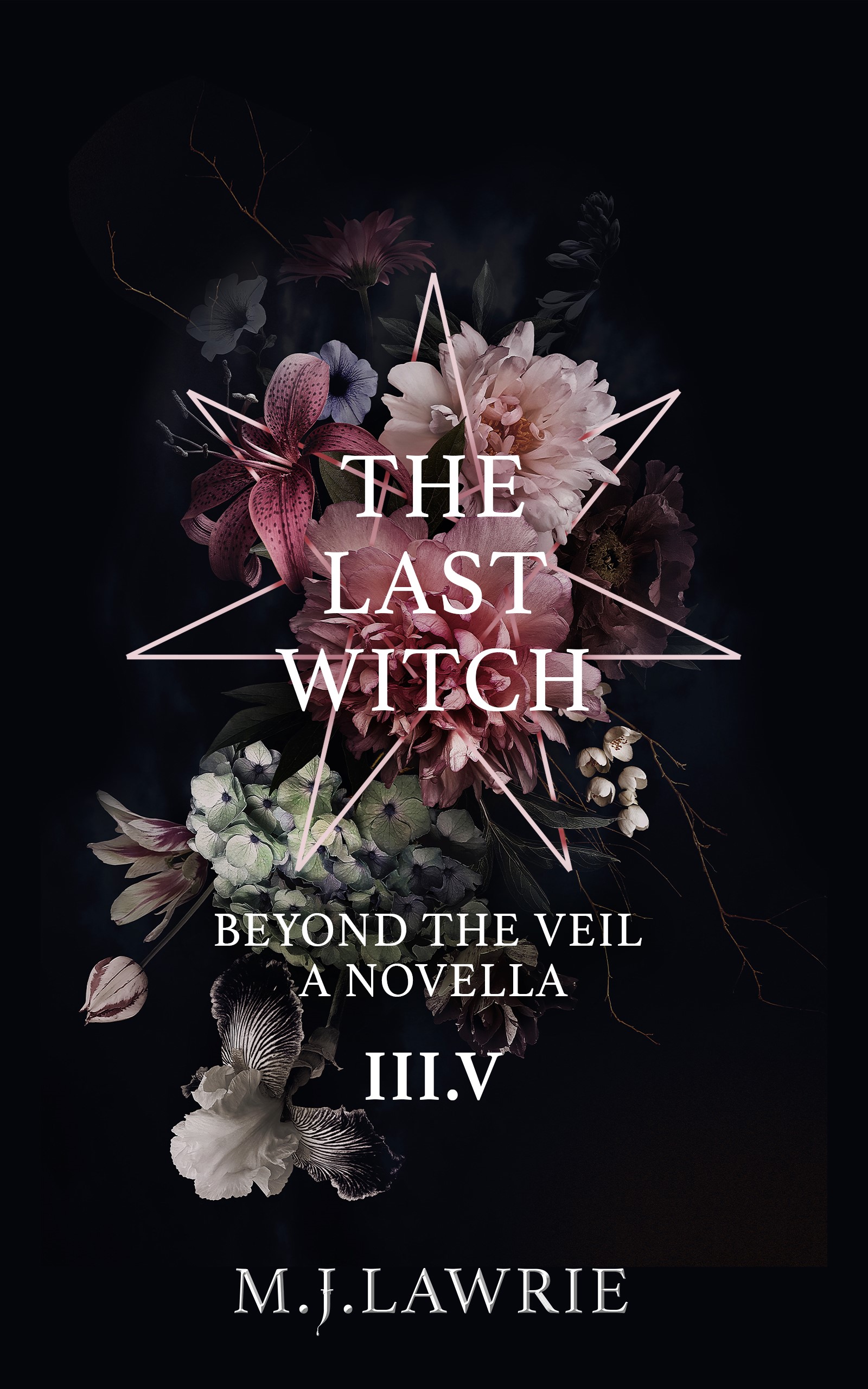 The Last Witch: Vol 3.5