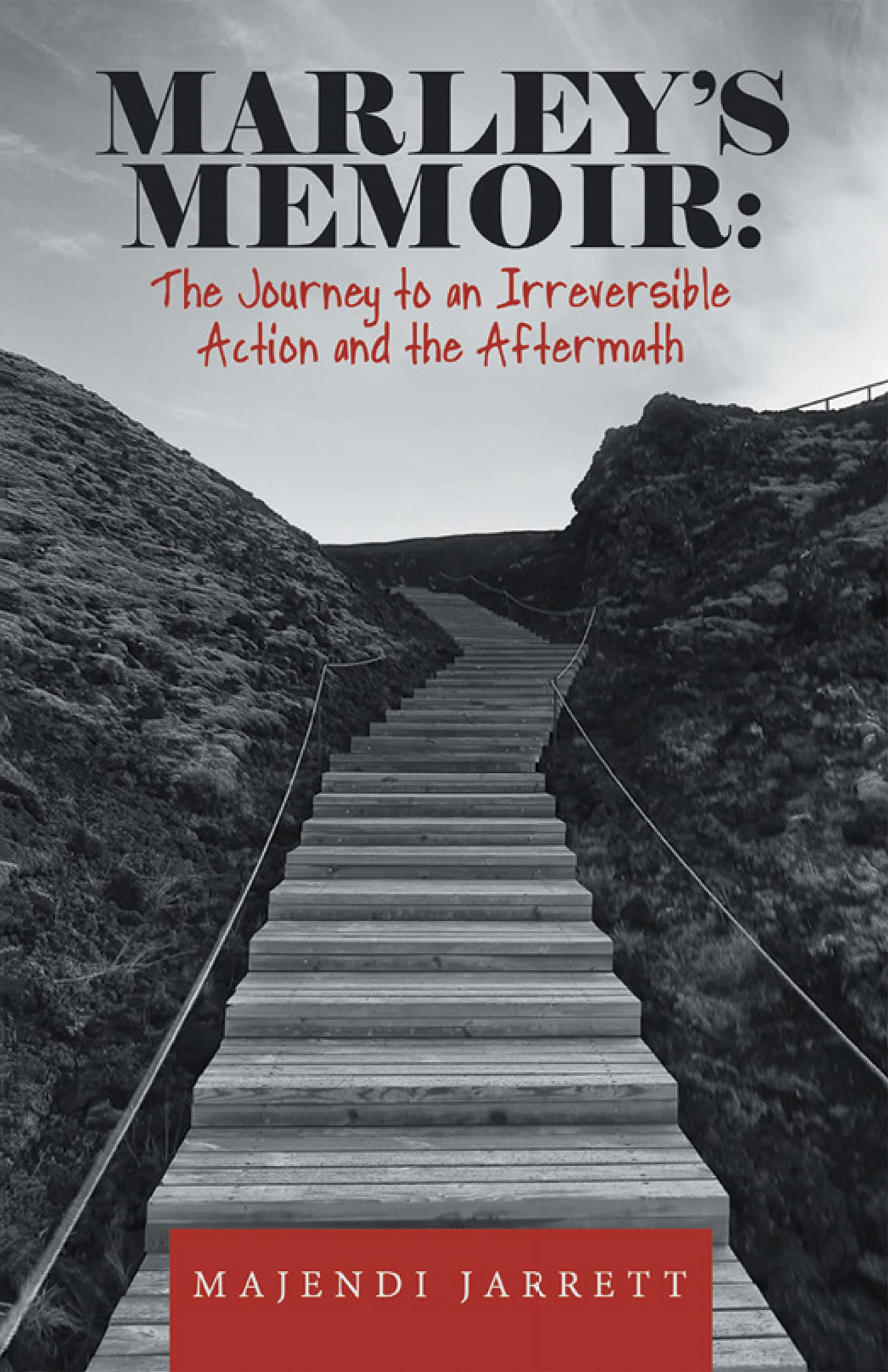 Janice Rivera'S Journey Through The Aftermath - jdtkb4d