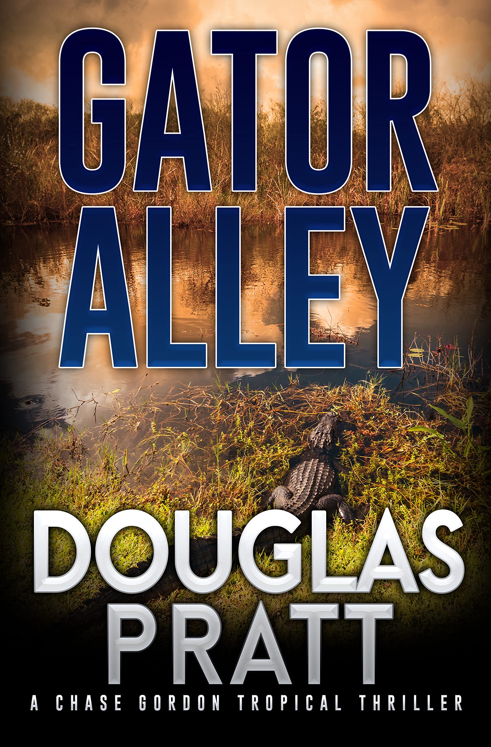 Gator Alley book cover