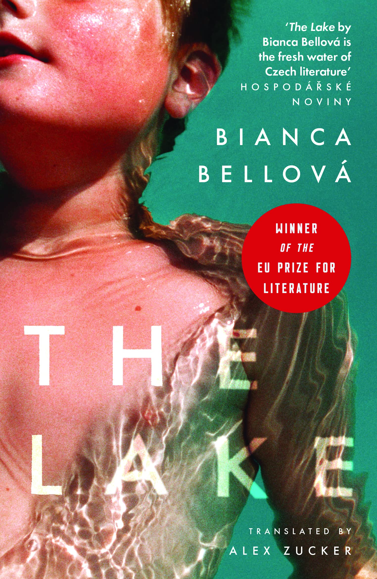 The Lake book cover