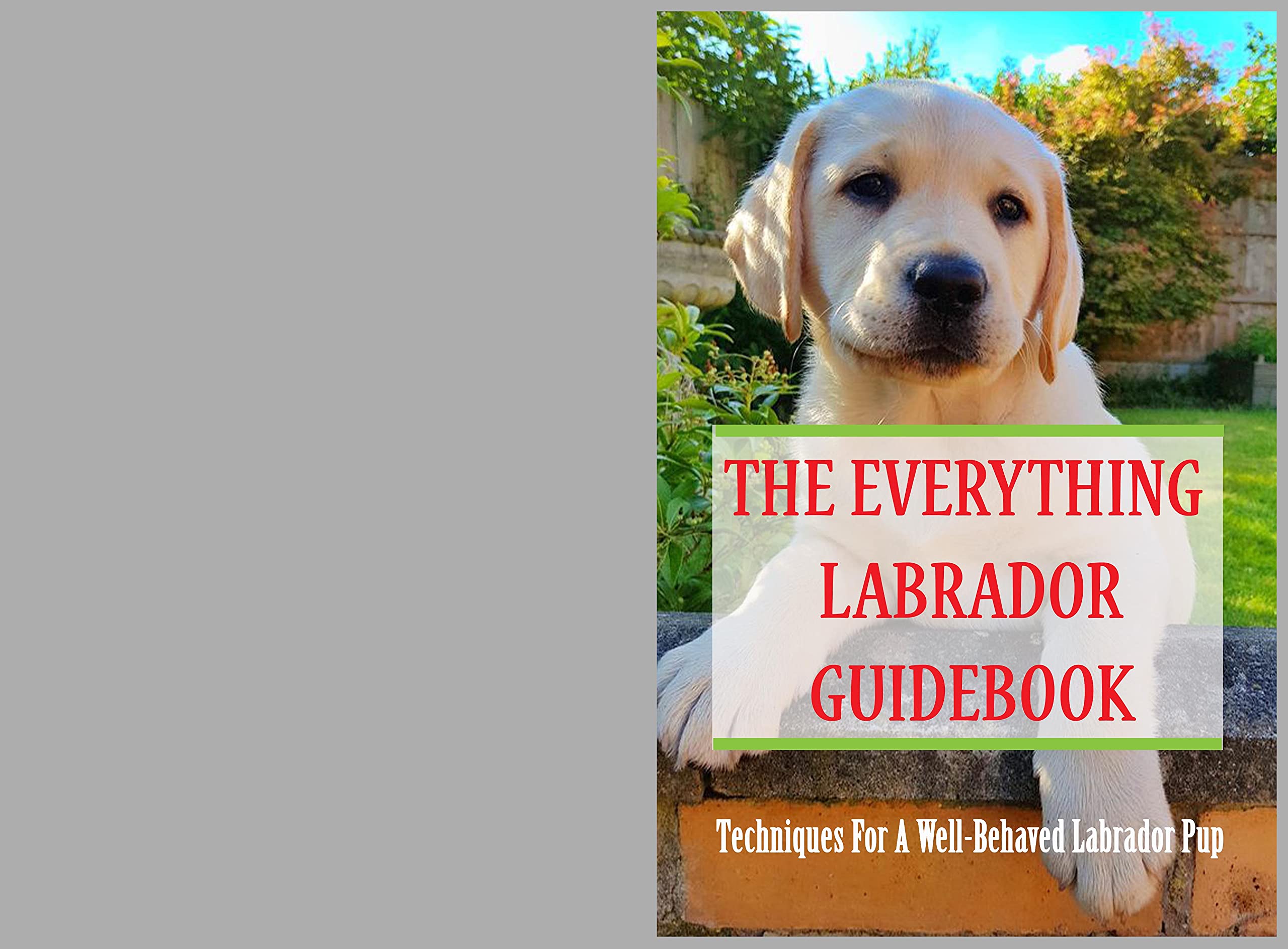 The Everything Labrador Guidebook Techniques For A WellBehaved