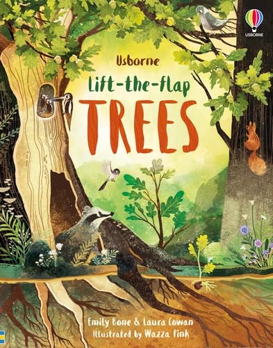 Lift-the-Flap Usborne book cover 2
