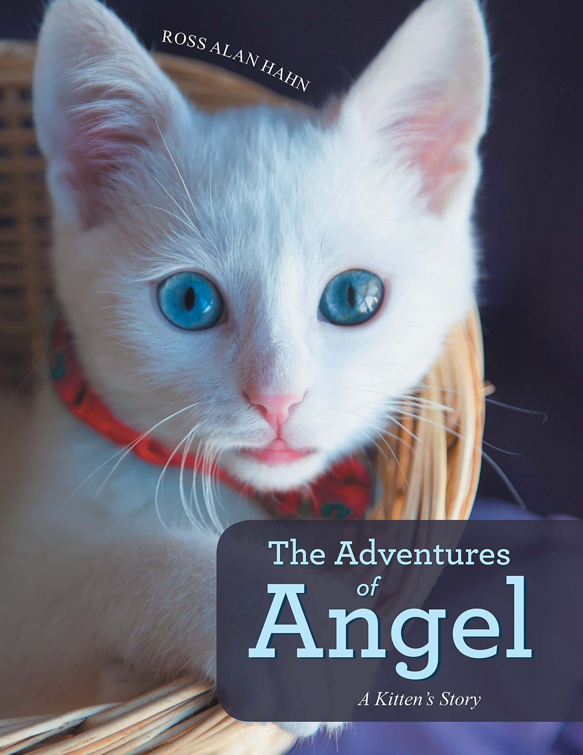 The Adventures of Angel: A Kitten's Story