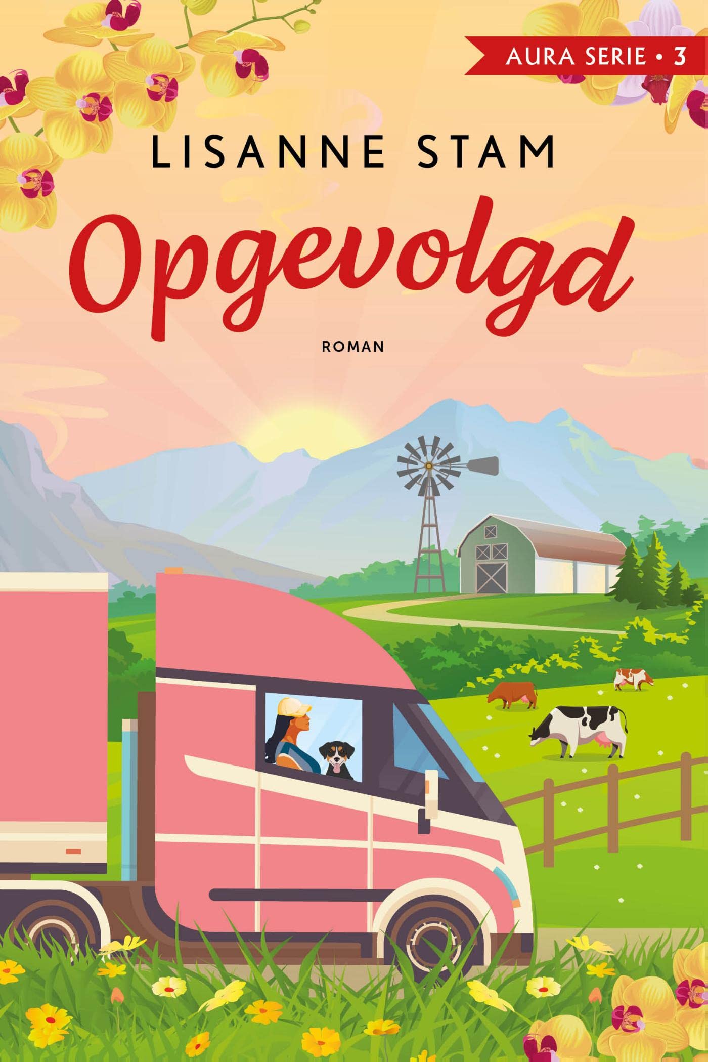 Opgevolgd book cover