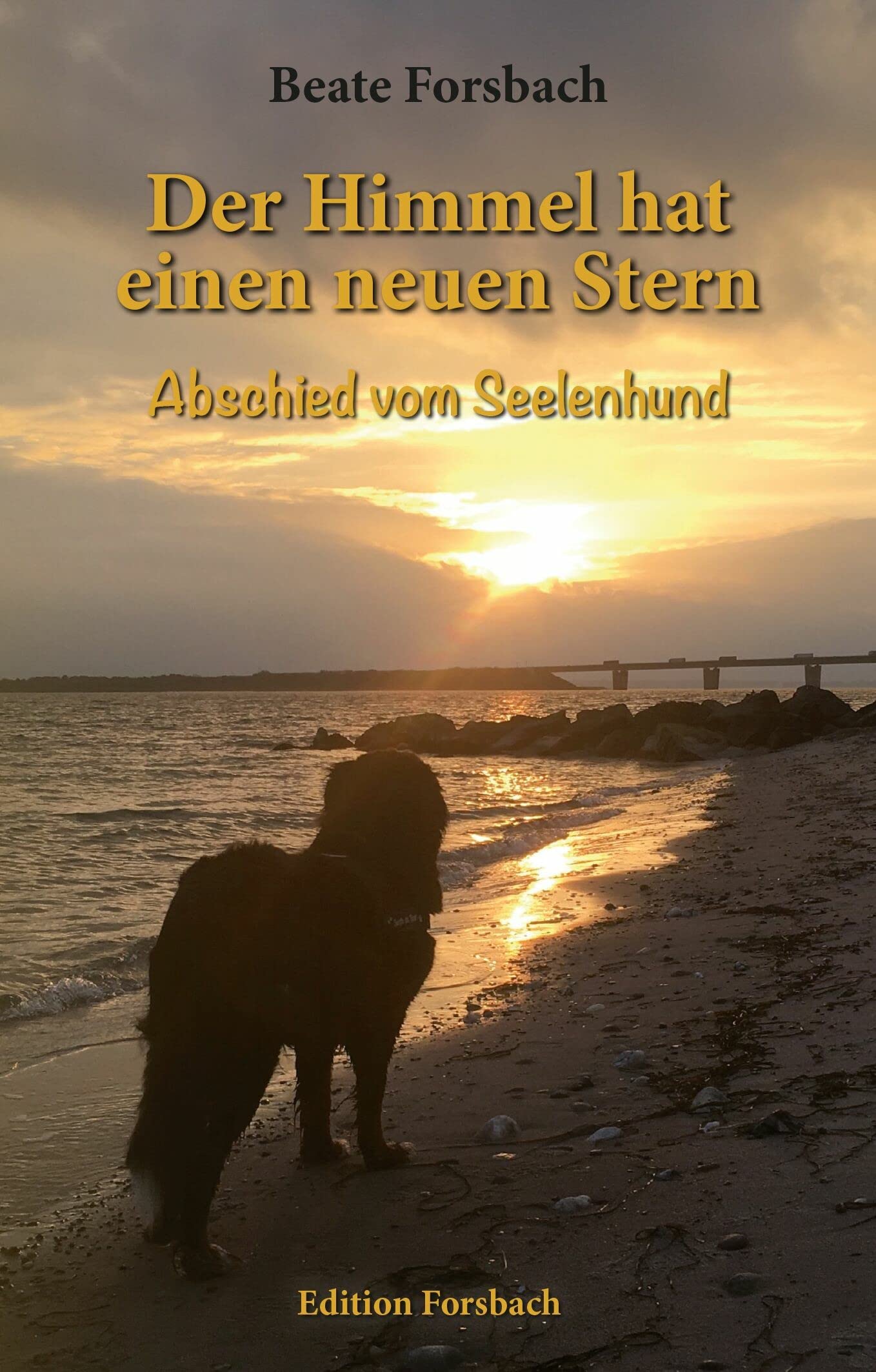 Der Himmel Hat Einen Neuen Stern