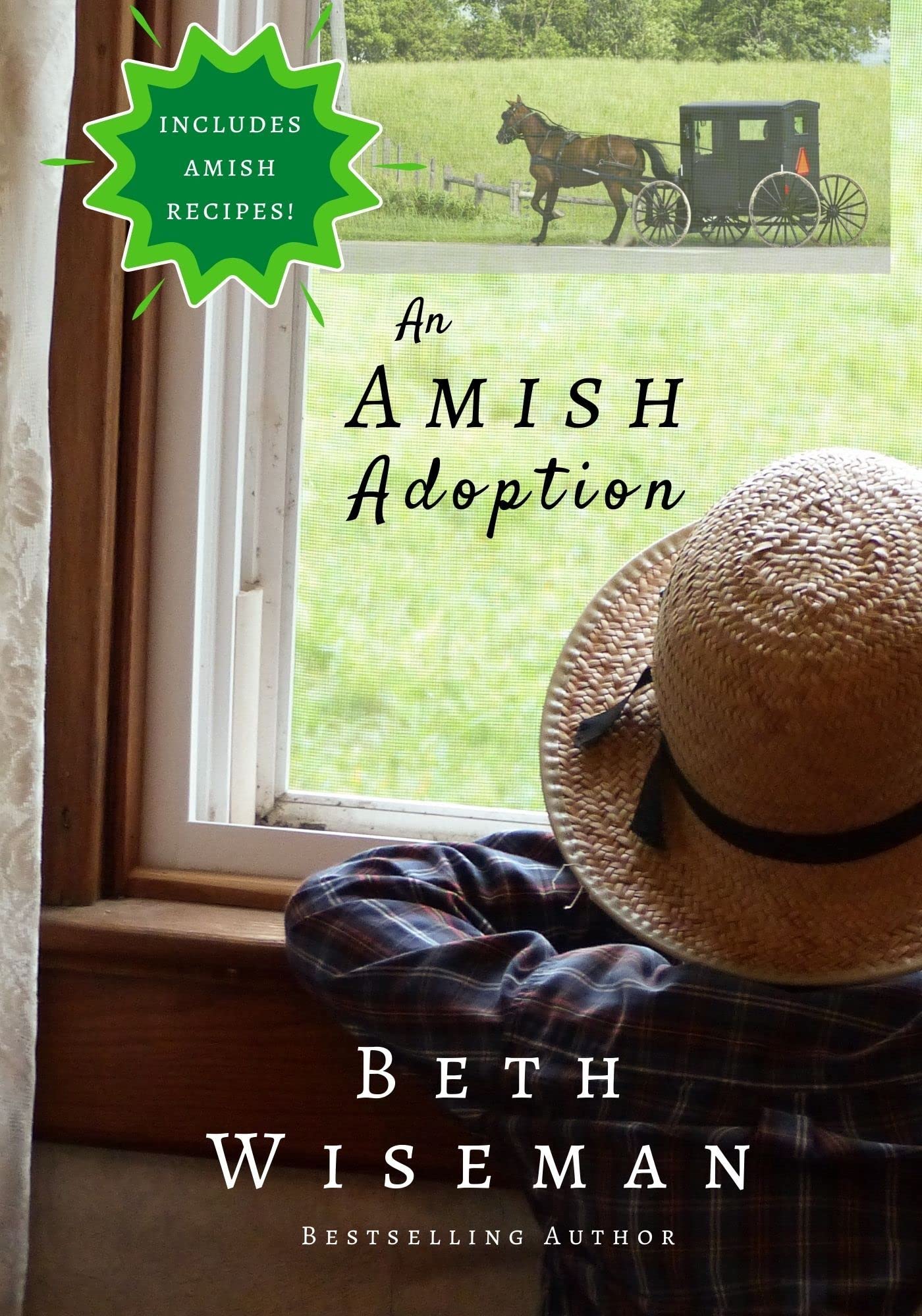 An Amish Adoption book cover
