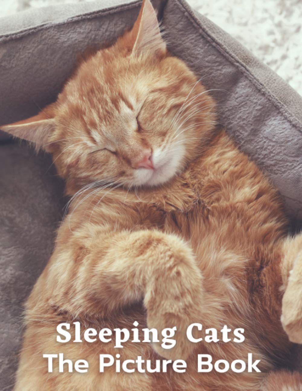 Sleeping Cats Photo Book of Adorable Cats Alzheimer's Patients and