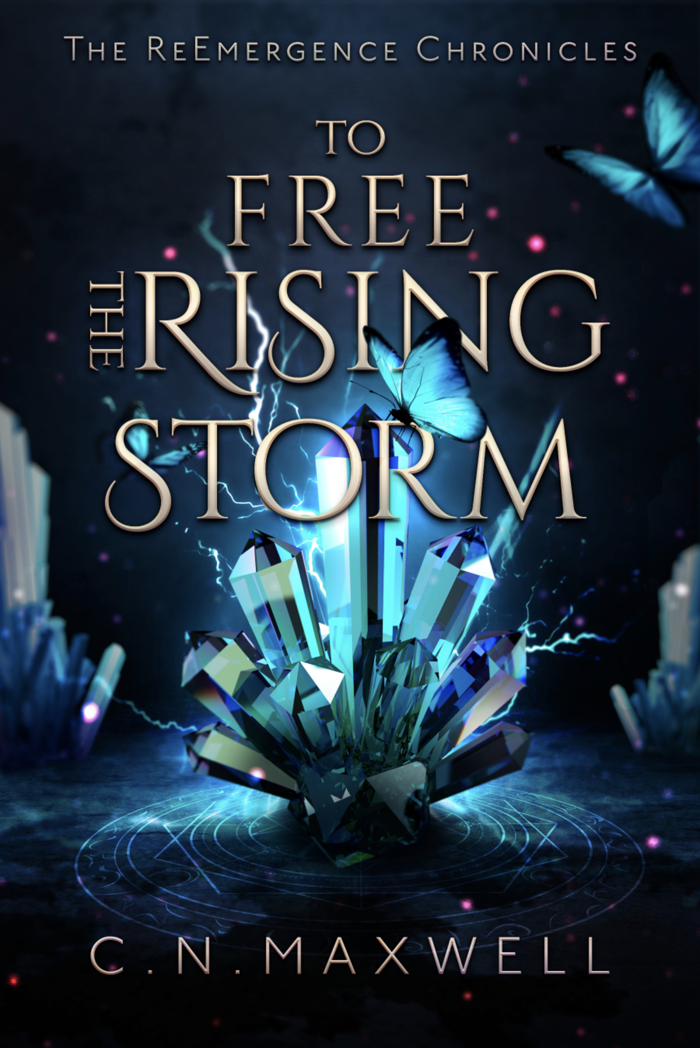 To Free the Rising Storm (The ReEmergence Chronicles, #1)