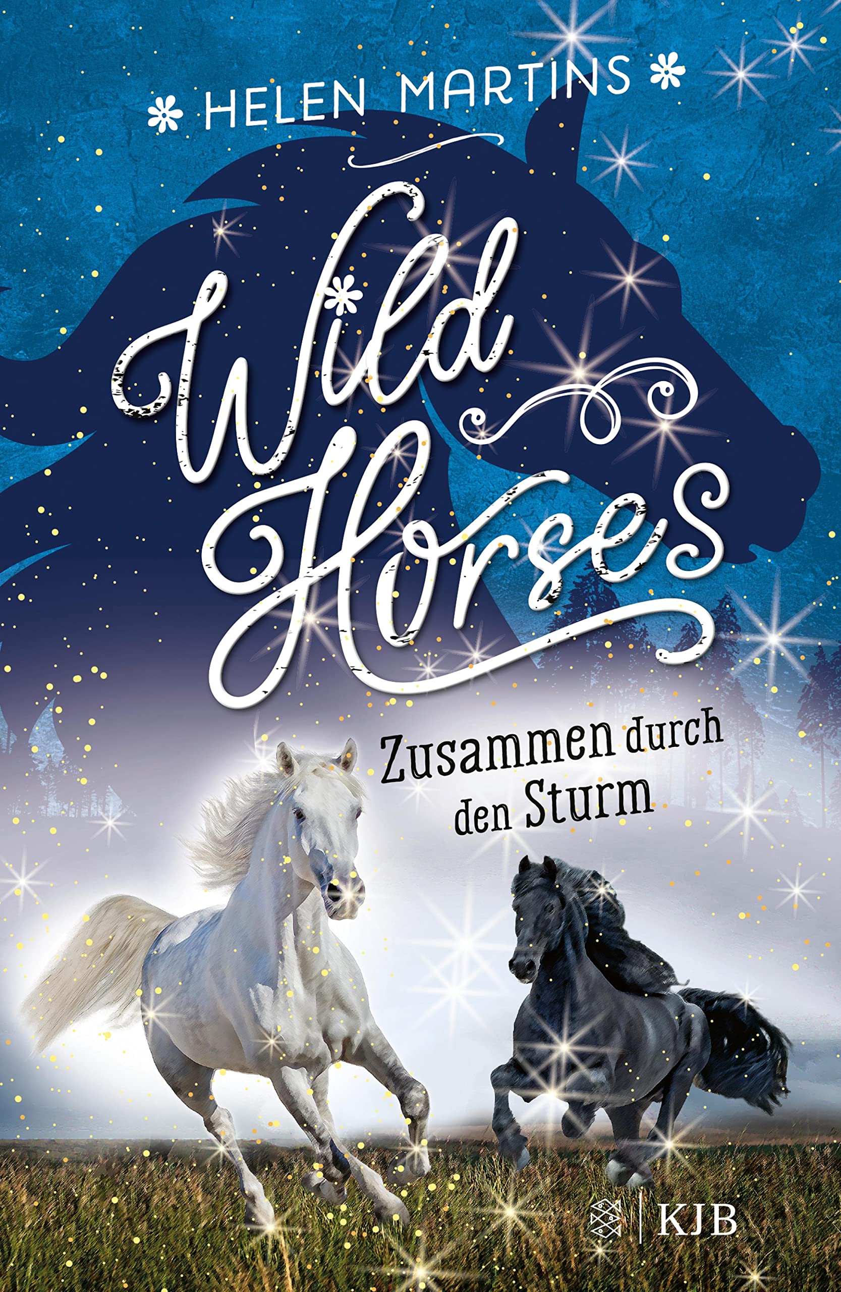 Wild Horses − Zusammen durch den Sturm Die romantische Pferdebuchreihe