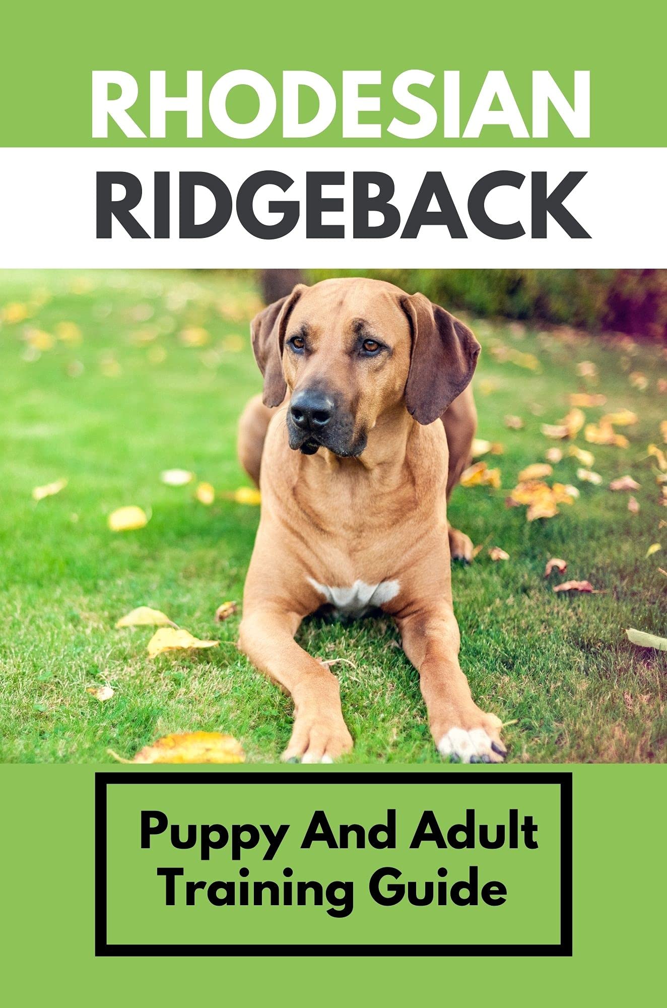 Rhodesian Ridgeback Puppy And Adult Training Guide How To Raise A