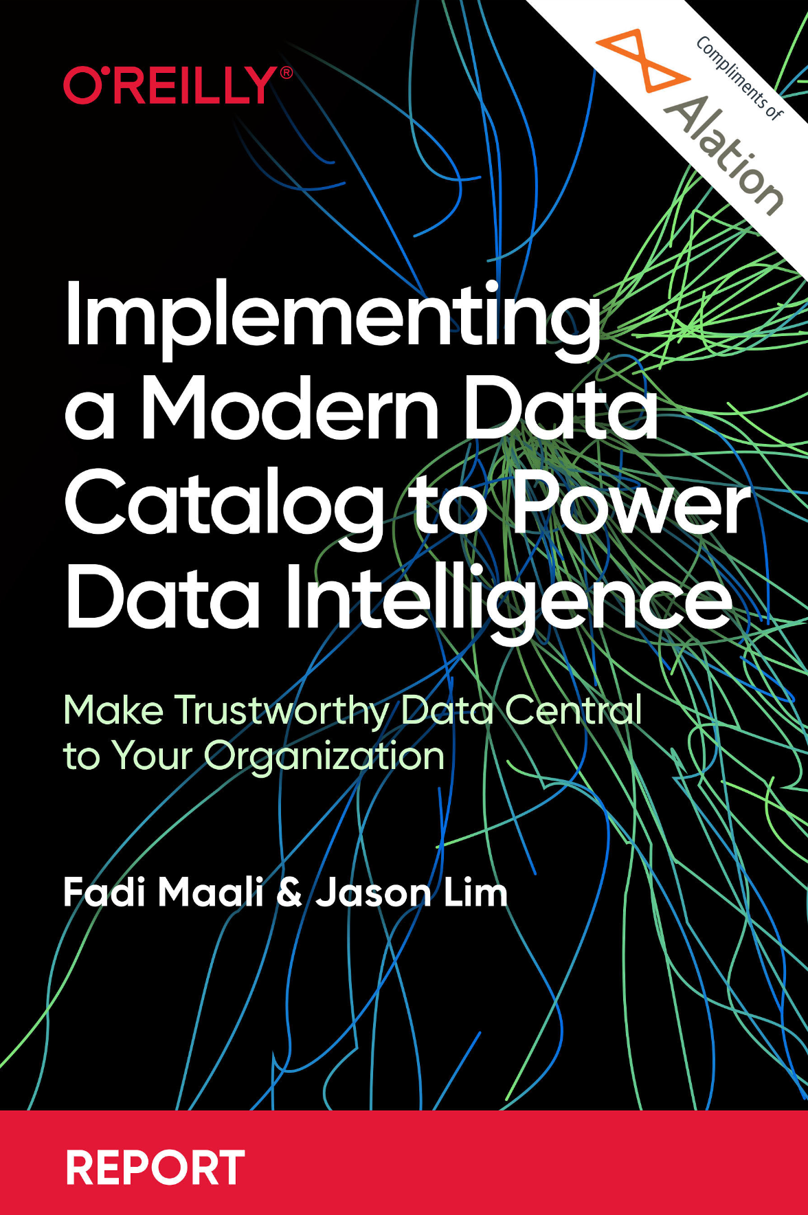 Implementing a Modern Data Catalog to Power Data Intelligence by Fadi