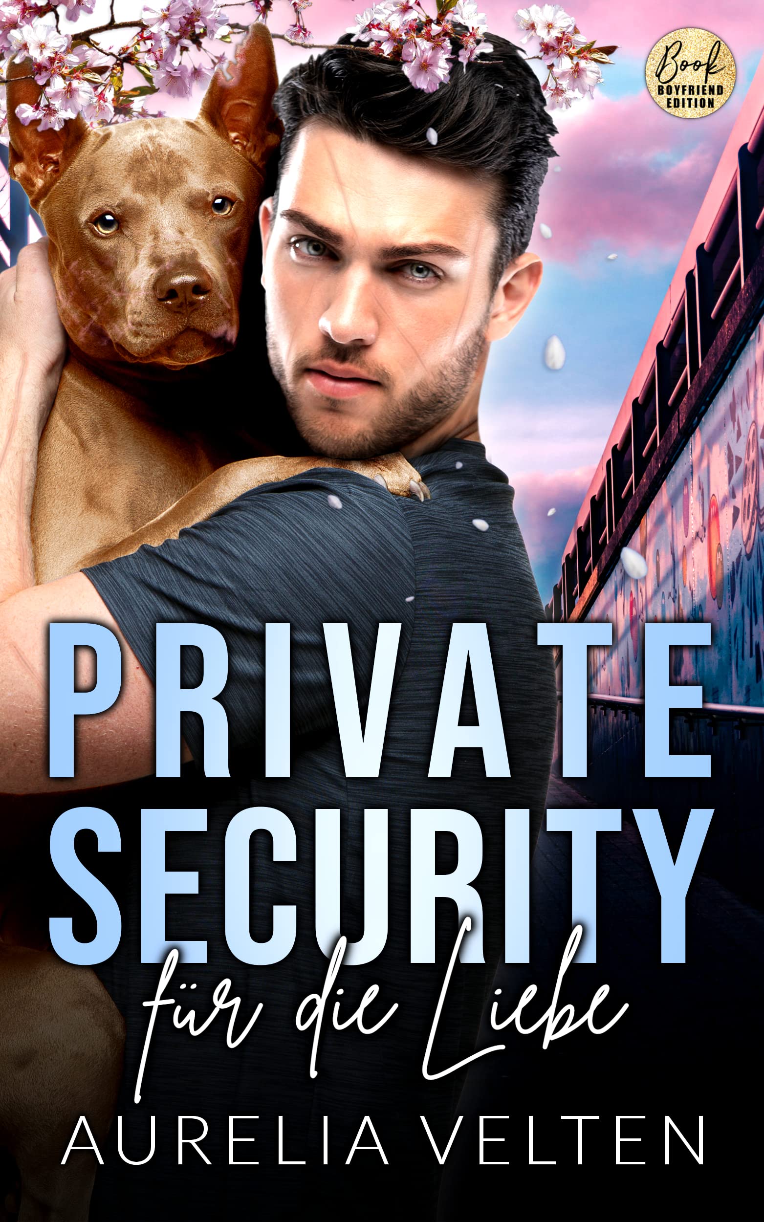 Boston In Love book cover 3