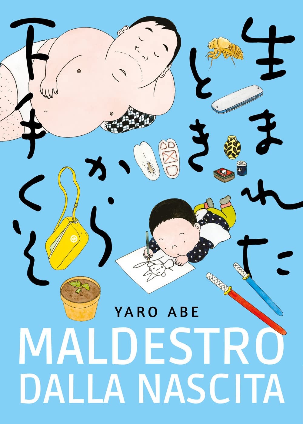 Maldestro dalla nascita book cover