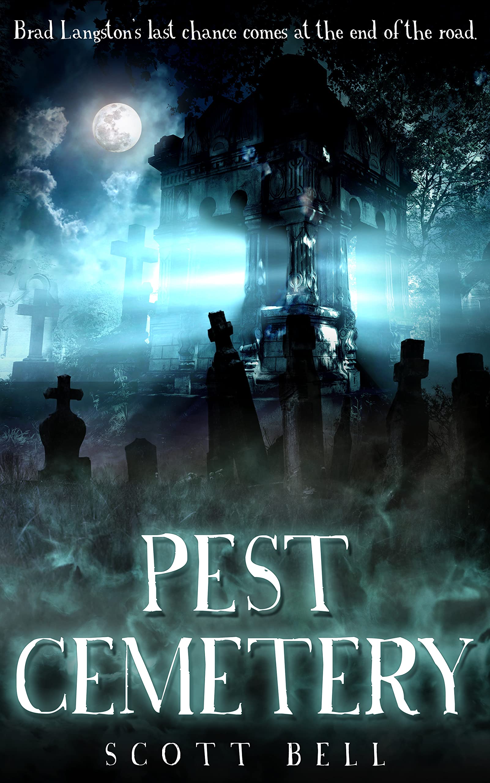 Pest Cemetery book cover