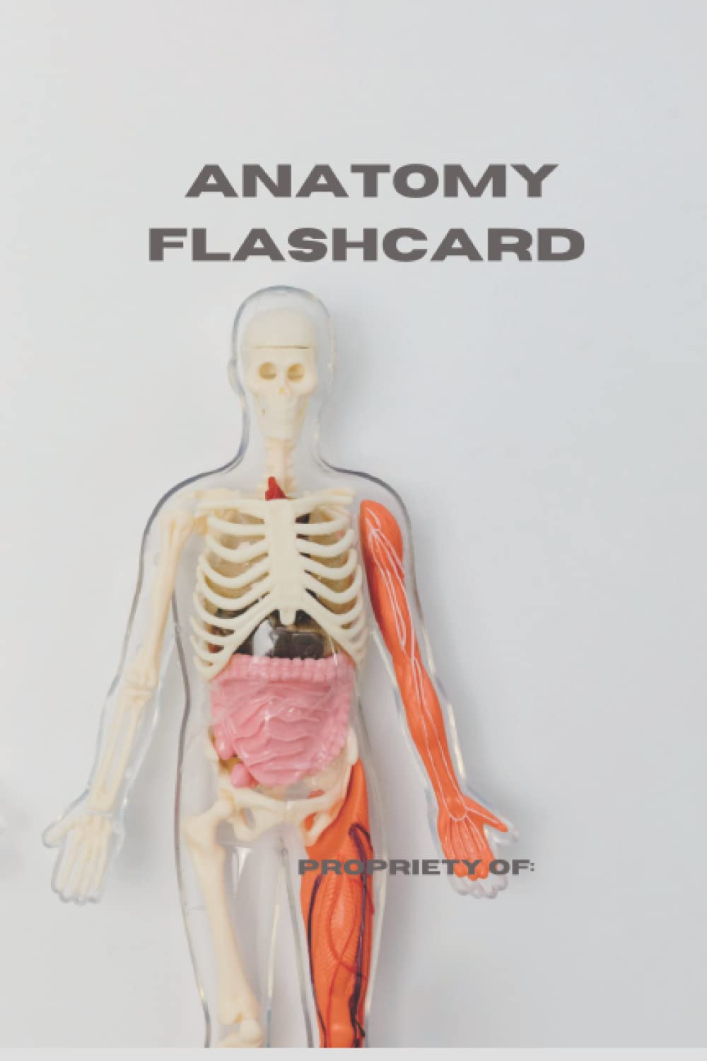 Anatomy Flashcard Notebook DIY Made for Medicine / Medical Associate