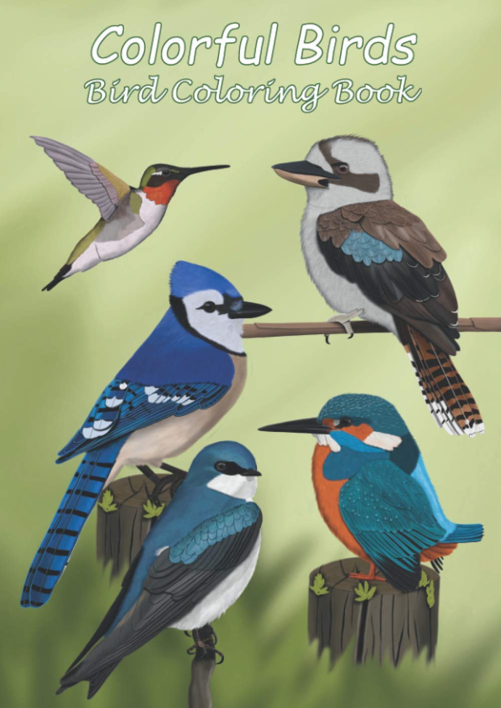 Colorful Birds Bird Coloring Book: Discover The Diversity Of Beautiful
