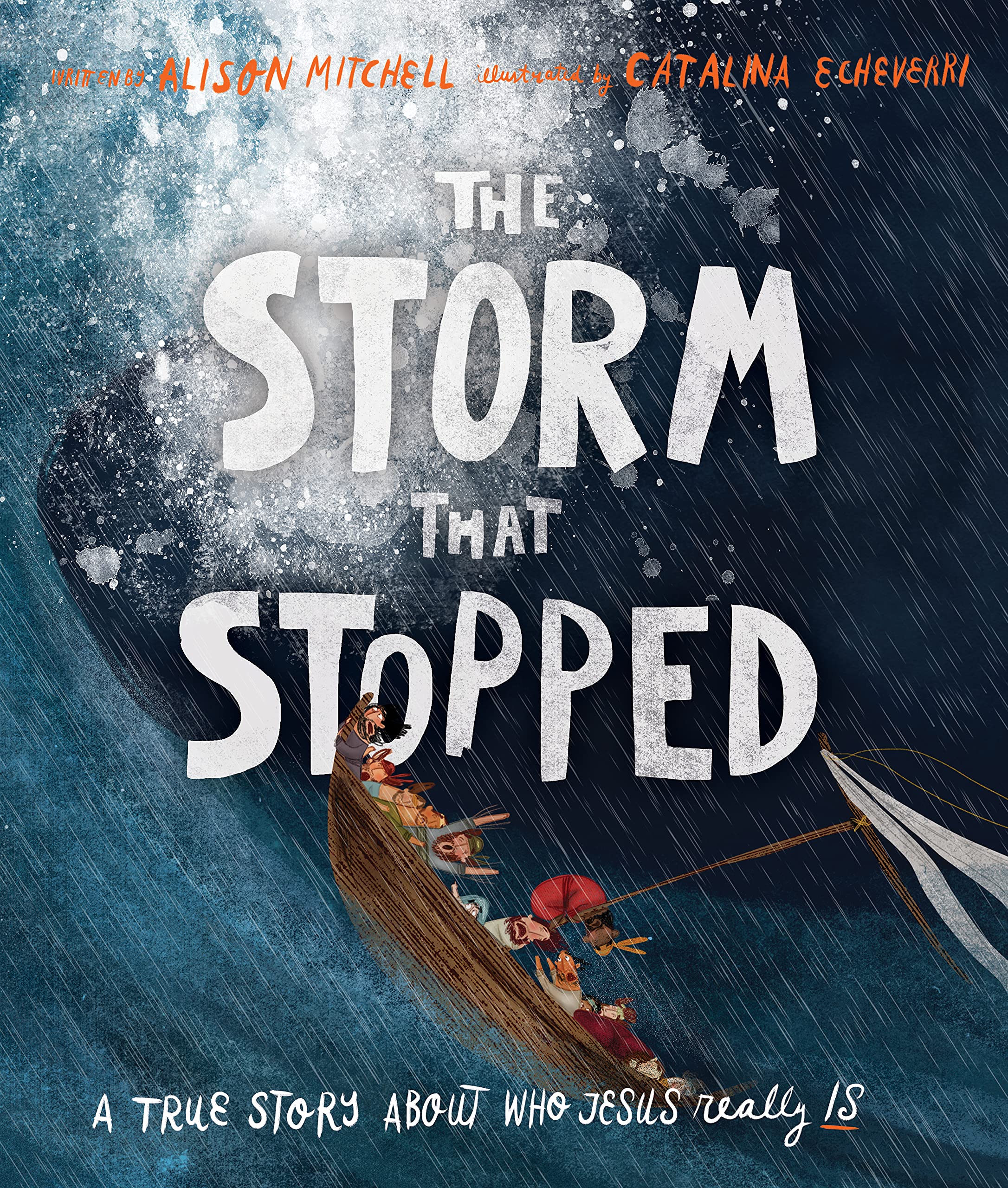 The Storm That Stopped: A true story about who Jesus really is