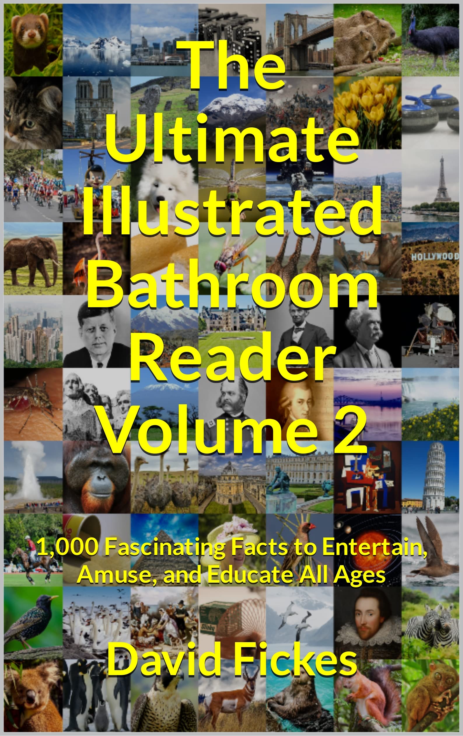 The Ultimate Illustrated Bathroom Reader Volume 2: 1,000 Fascinating Facts to Entertain, Amuse, and Educate All Ages