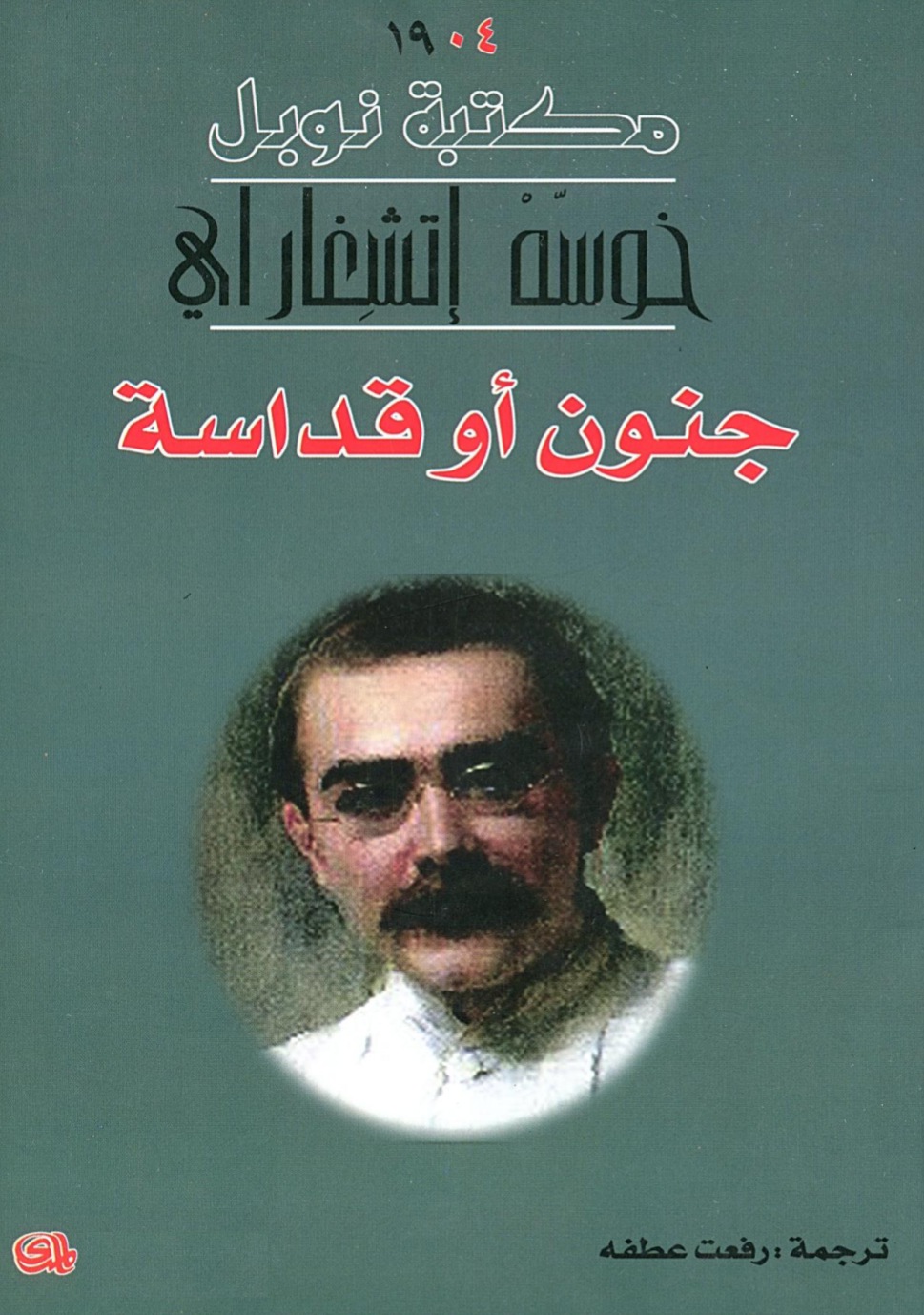 Madness or Holiness book cover