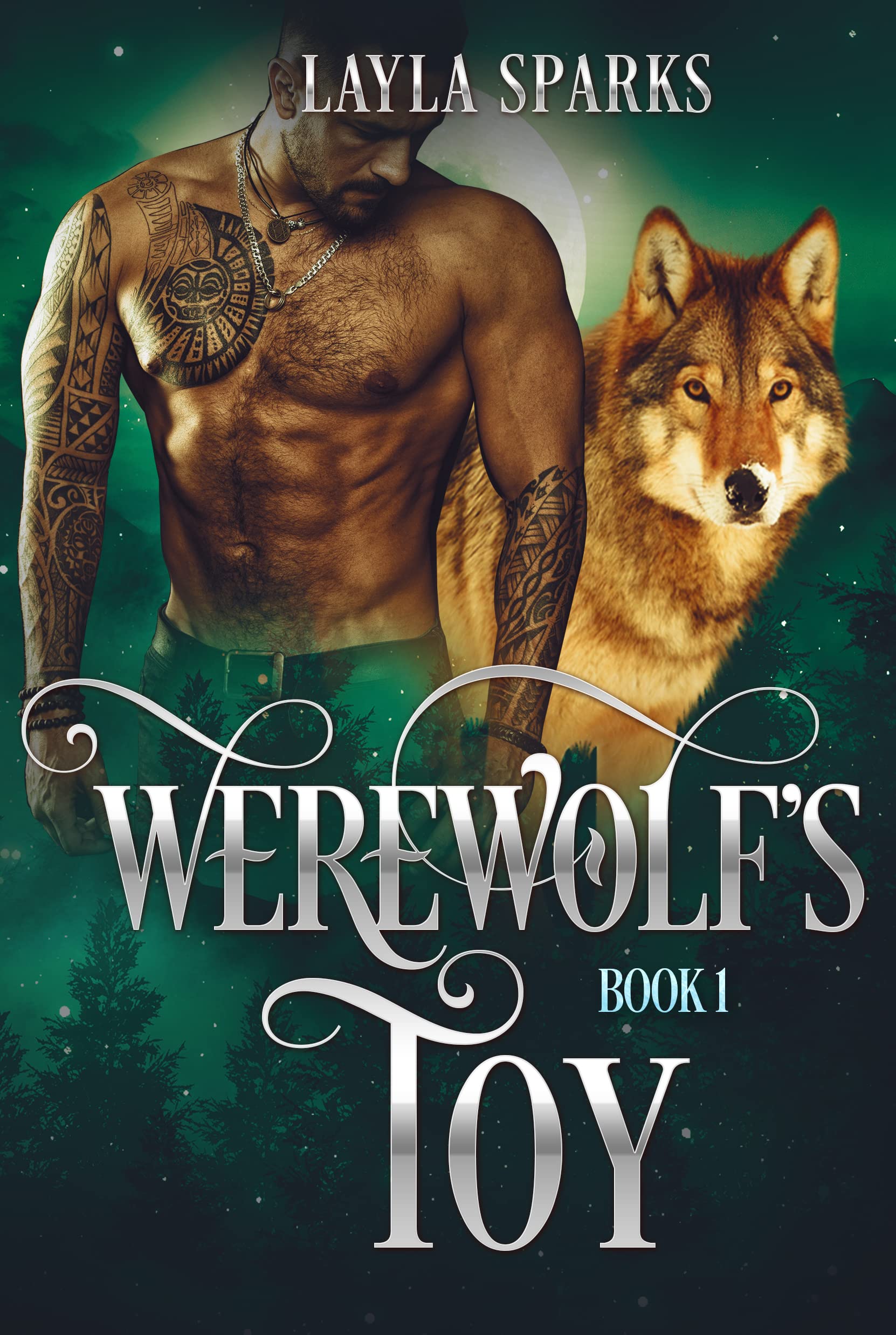Werewolf's Toy book cover