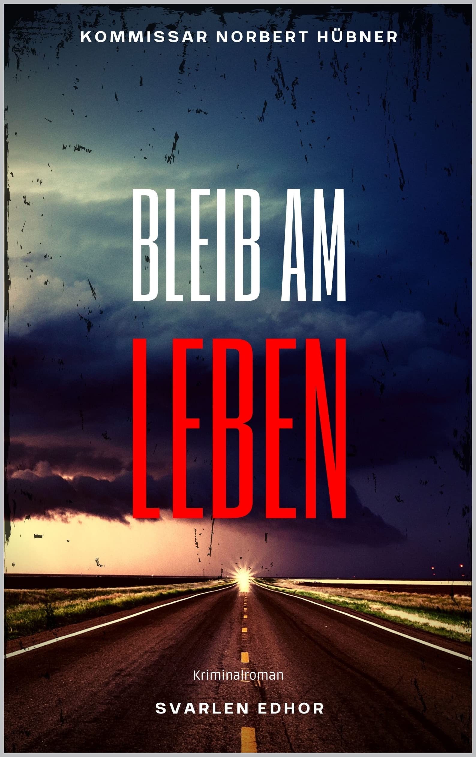 BLEIB AM LEBEN Kriminalroman ｜ Kommissar Norbert Hübner (Band 4