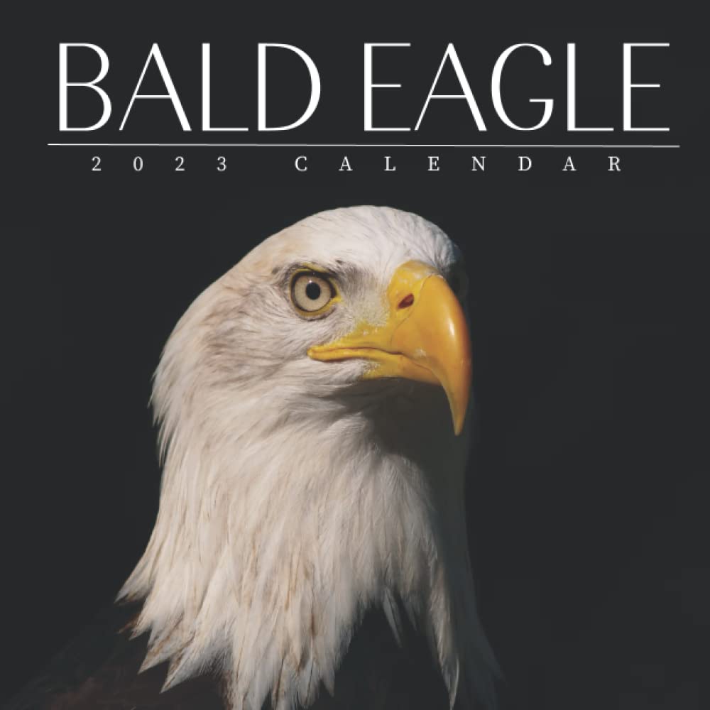Bald Eagle Calendar 2023 8.5"x8.5" Mini Calendar 2023 with