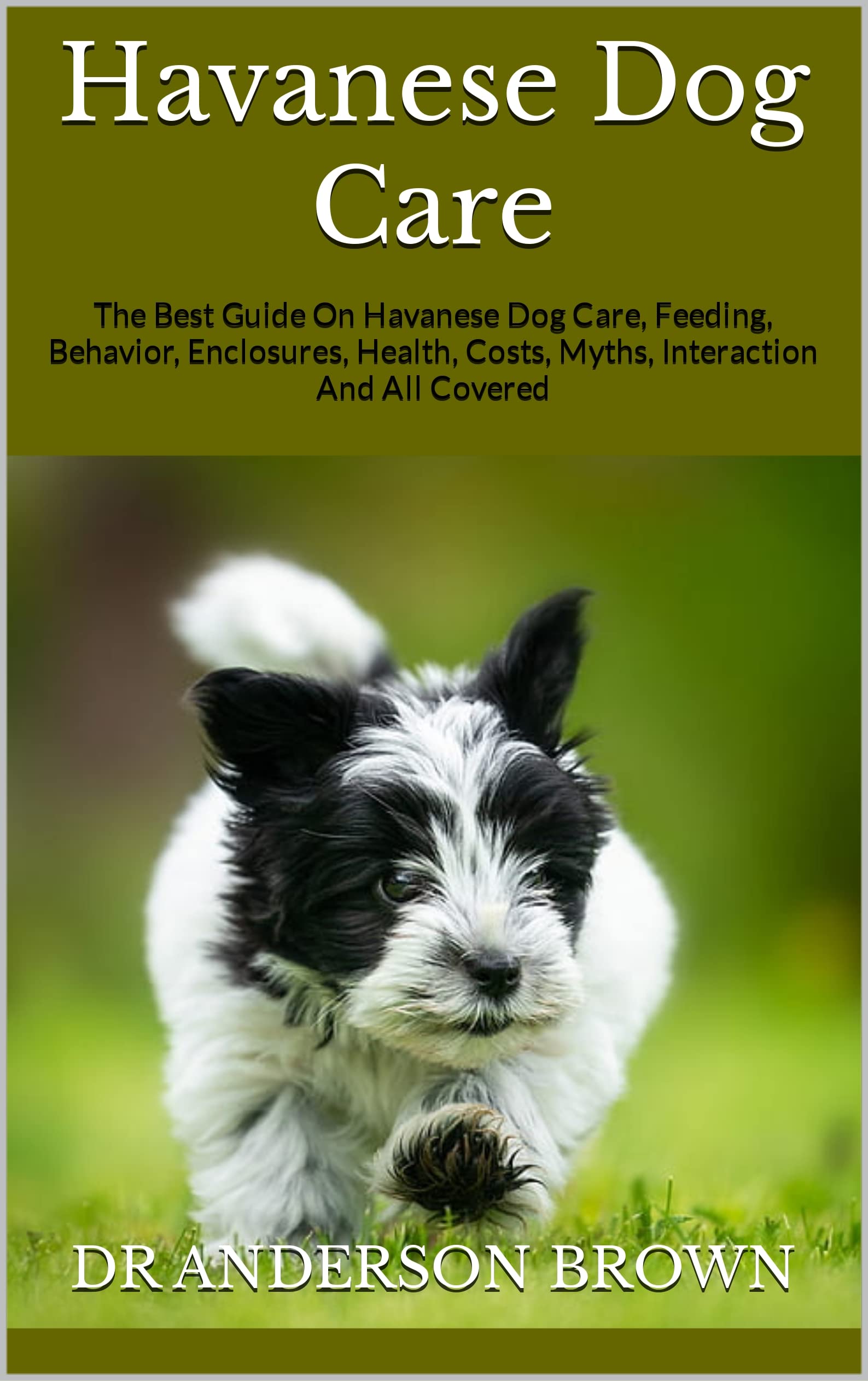 Havanese Dog Care The Best Guide On Havanese Dog Care, Feeding